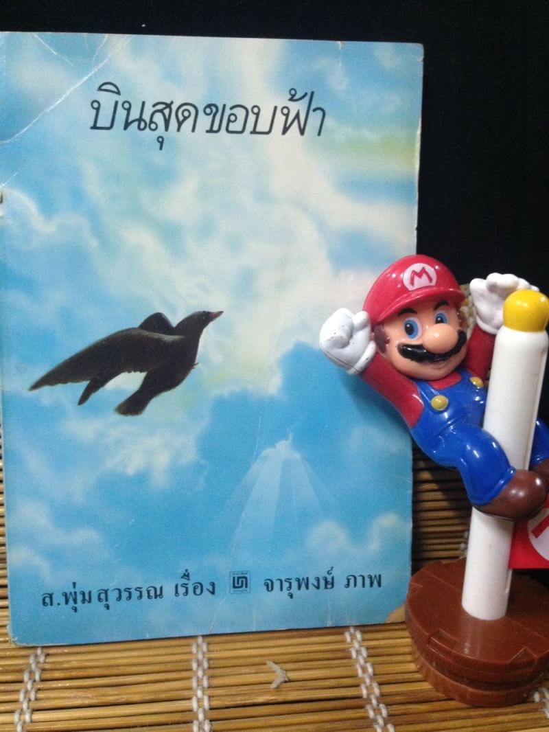 บินสุดขอบฟ้า