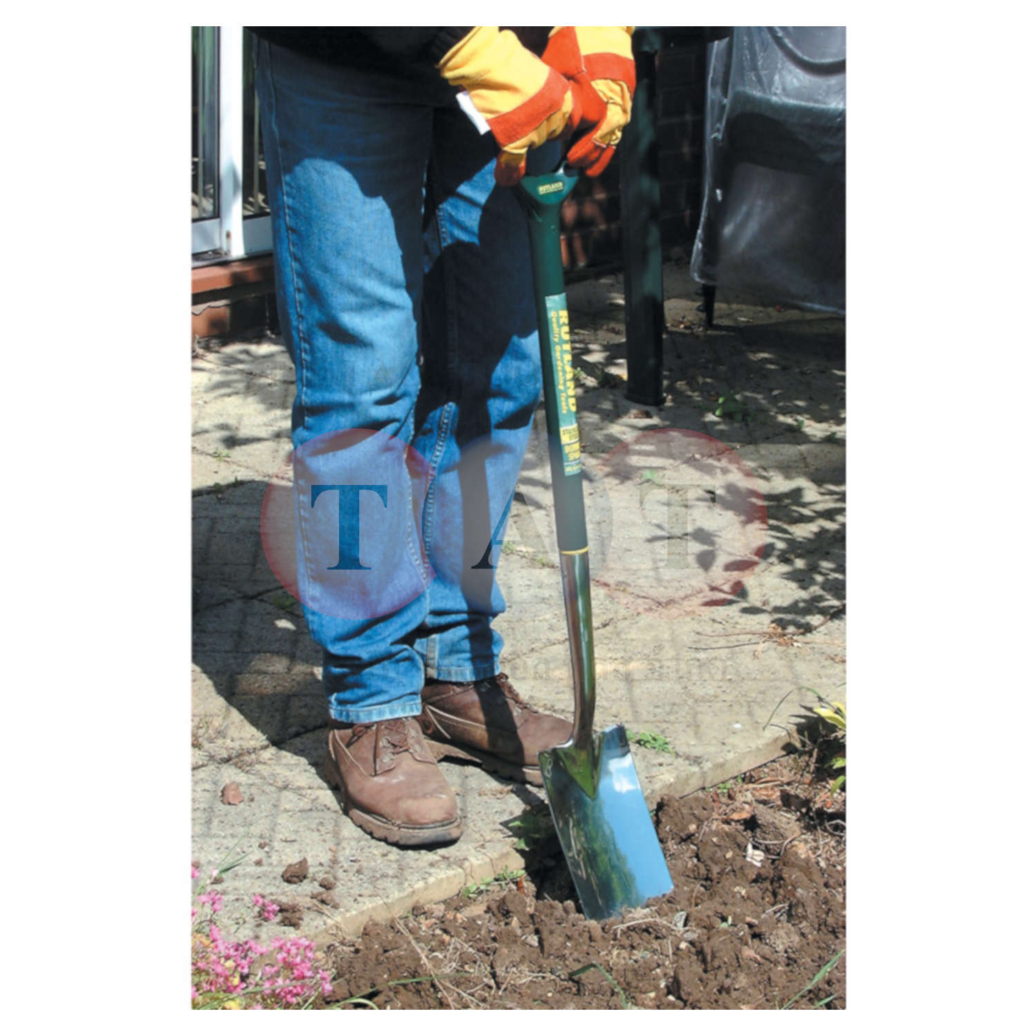 Rutland.STAINLESS STEEL BORDER SPADE