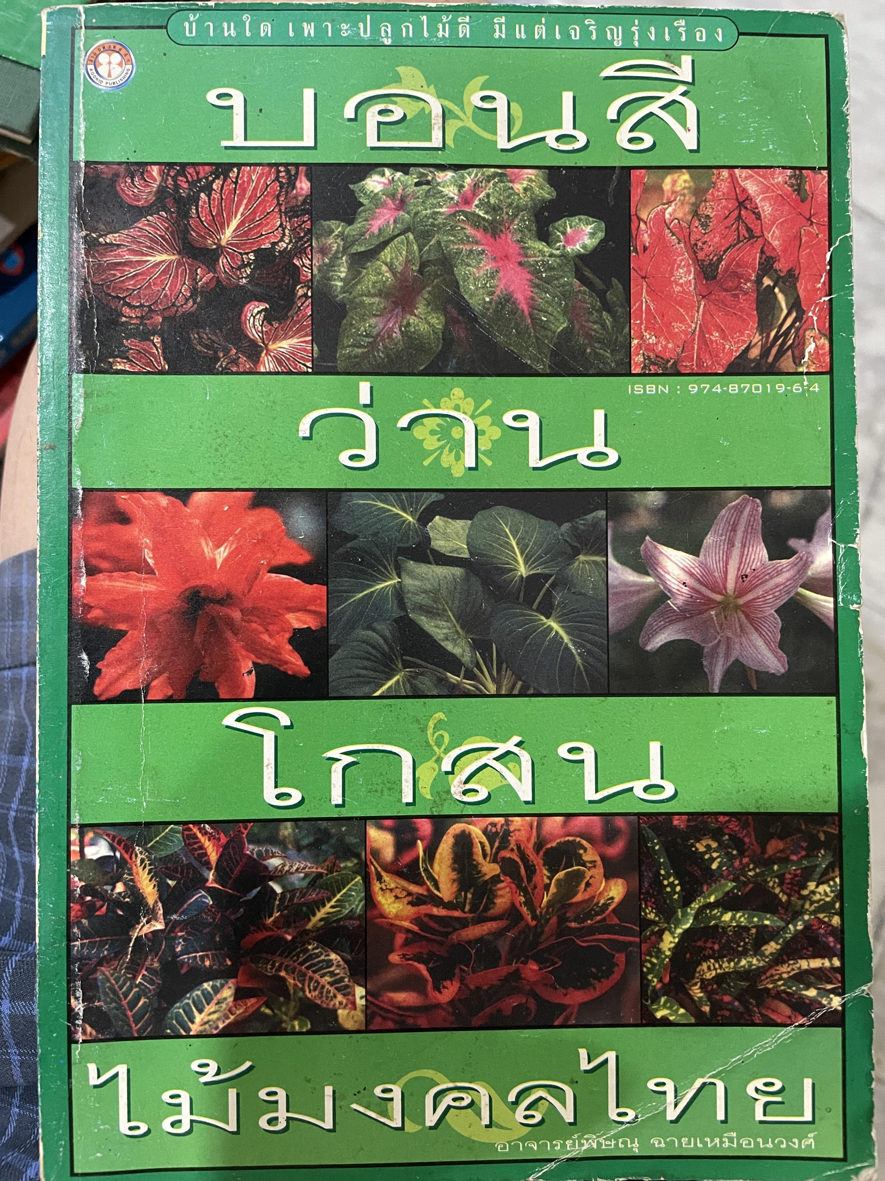 บอนสี ว่าน โกสน ไม้มงคลของไทย บ้านใดเพาะปลูกไม้ดี มีแต่เจริญรุ่งเรือง 0 กก.