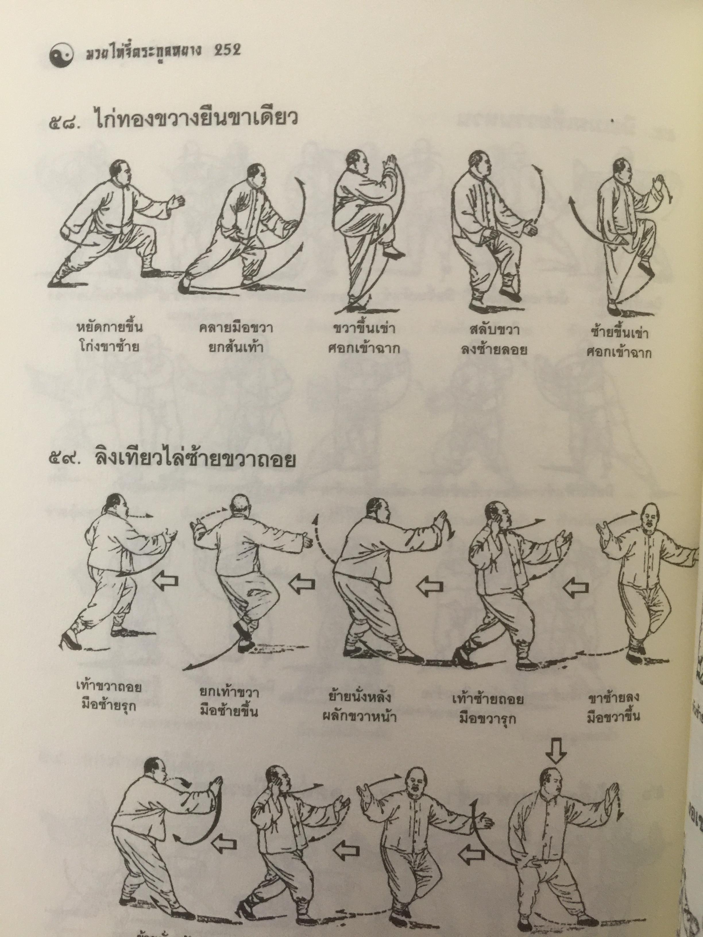 มวยพลังภายใน ไทเก๊ก(มวยไท้จี๋ตระกูลหยาง) 2,500 กรัม