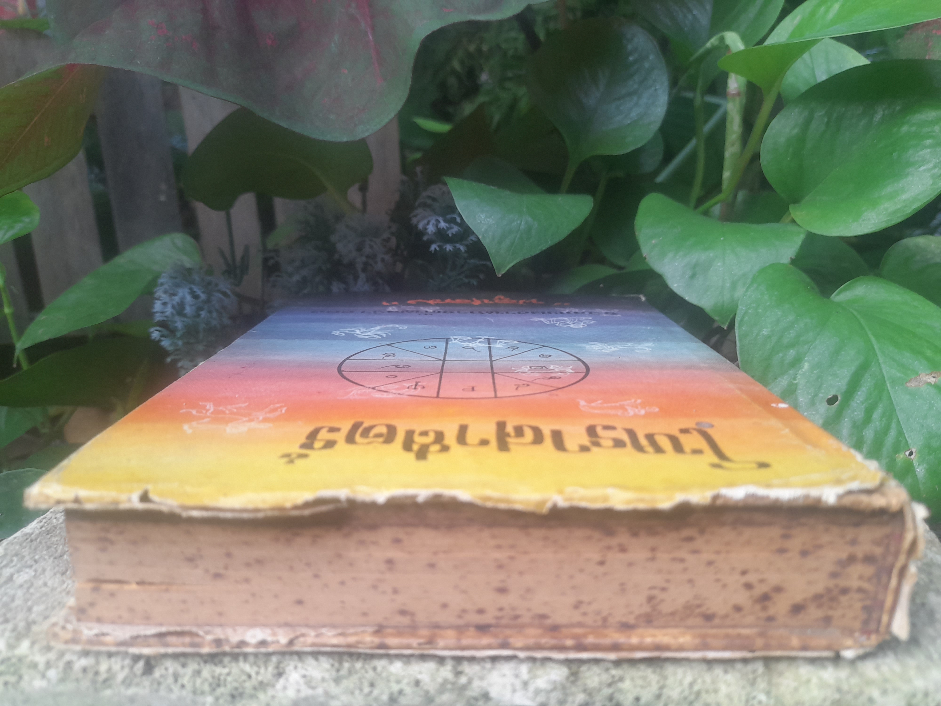 หนังสือโหราศาสตร์ รวมผลงานการค้นคว้าของ พลูหลวง หรือ ประยูร อุลุชาฎะ หรือ น. ณ ปากน้ำ ศิลปินแห่งชาติ สาขาทัศนศิลป์ (จิตรกรรม)