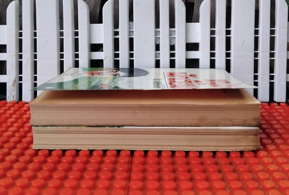 หนุ่มนักเรียน โดย พ.เนตรรังษี ภาคต่อของของเด็กบ้านสวน มือ1 วรรณกรรมชีวิตนักเรียนไทยปี 2460