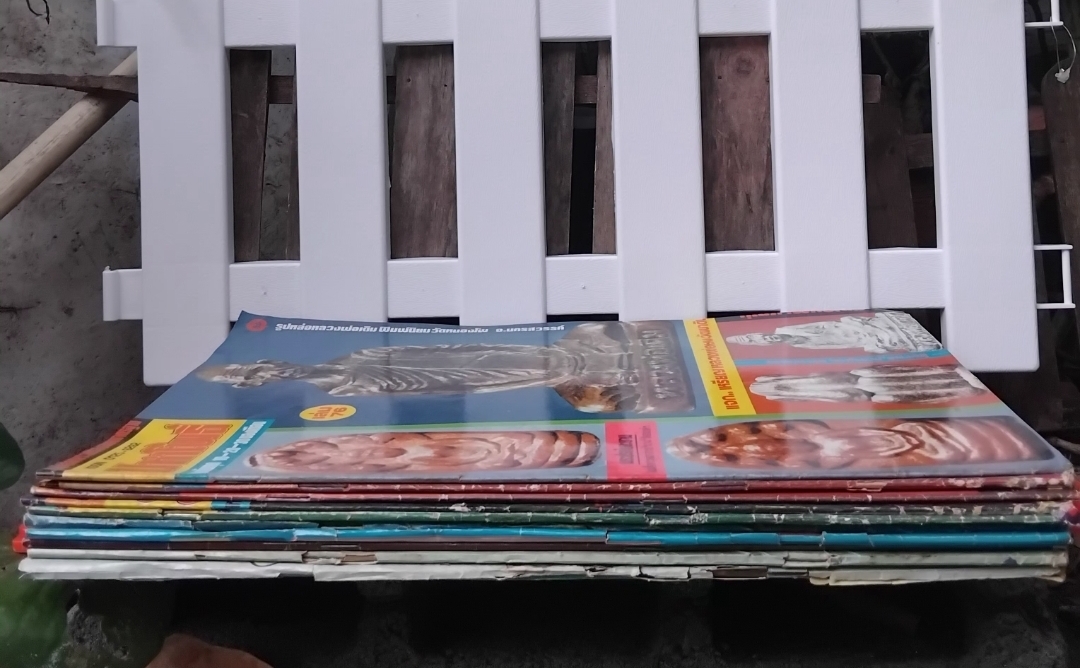 หนังสือพระเครื่อง มหาโพธิ์ ฉบับ 76,77,79,81,89,108,121,214,228และ238 ปี 2528-2531 มือ1 จากโกดัง