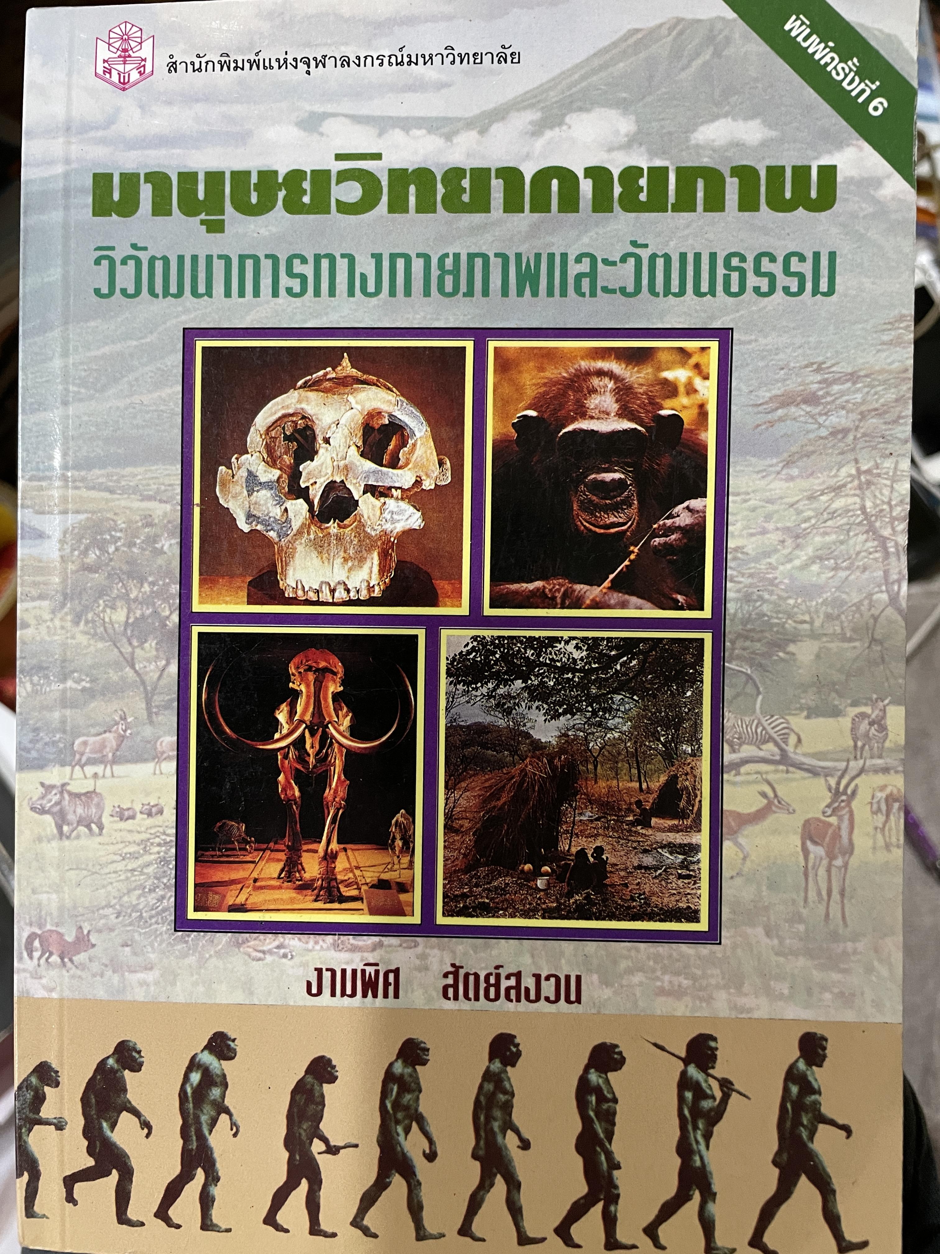 มานุษยวิทยากายภาพ วิวัฒนาการทางกายภาพและวัฒนธรรม ผู้เขียน งามพิศ สัตย์สงวน 2,009 กรัม