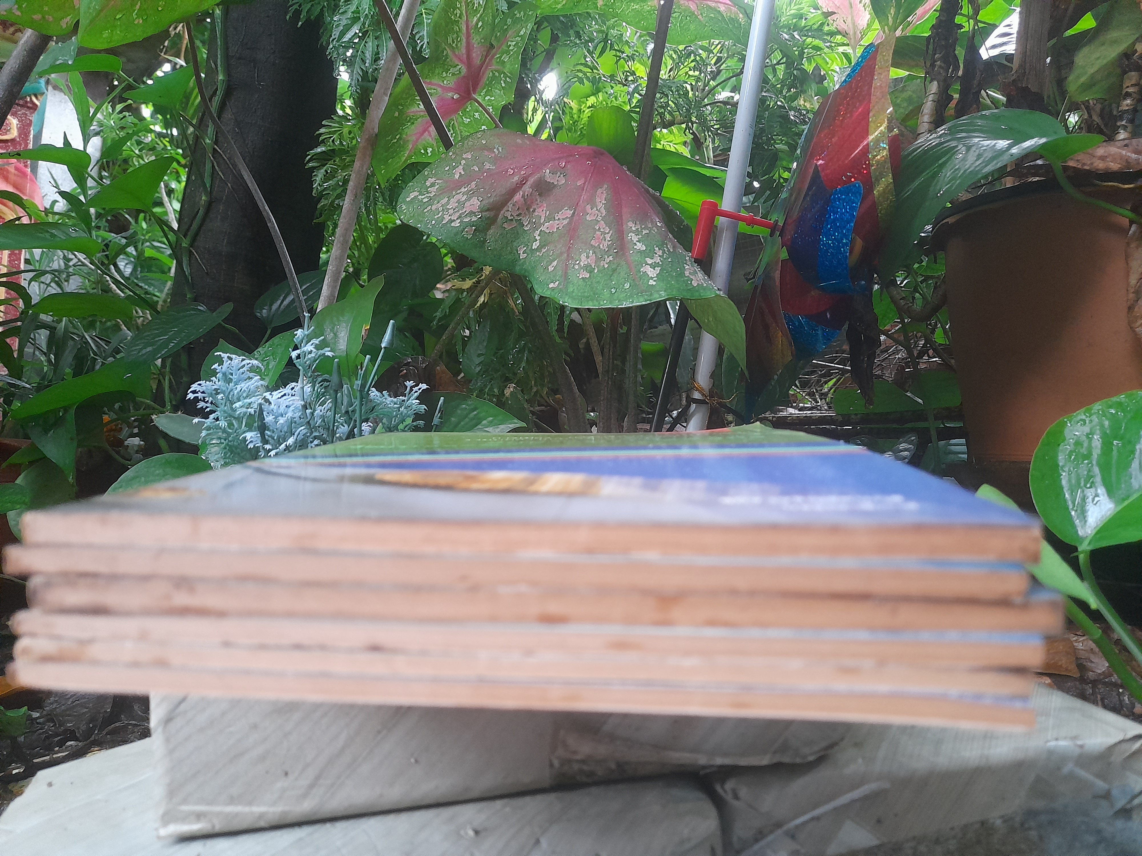 การเมือง-การบริหารราชการไทย รวมบทความนักวิชาการชาวต่างประเทศ ที่น่าสนใจถึง 30 บาทความ