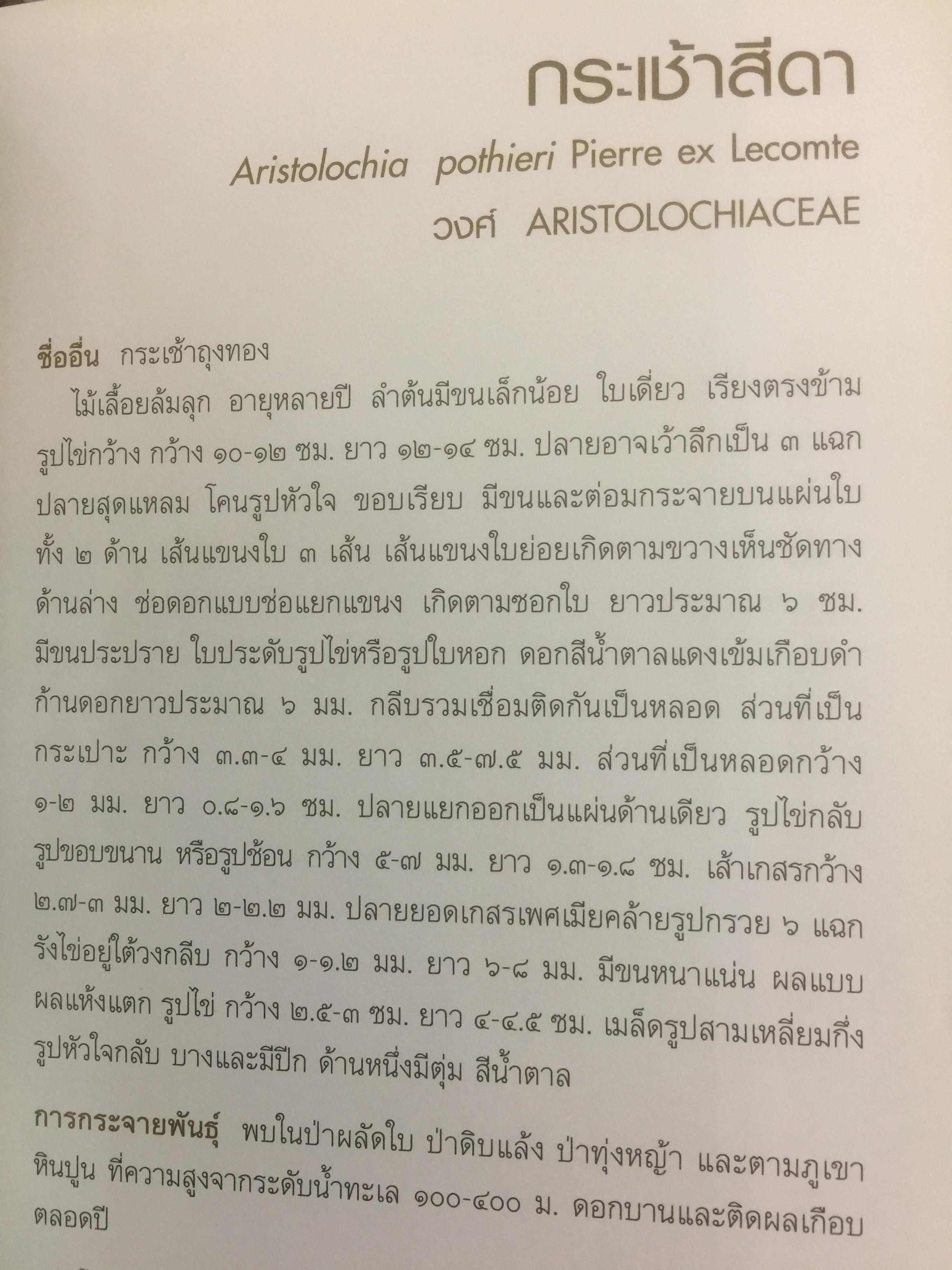 พรรณไม้พื้นเมืองไทย จากเขาใหญ่สู่ลำน้ำโขง ผู้จัดทำ กรมวิชาการเกษตร 0 กก.