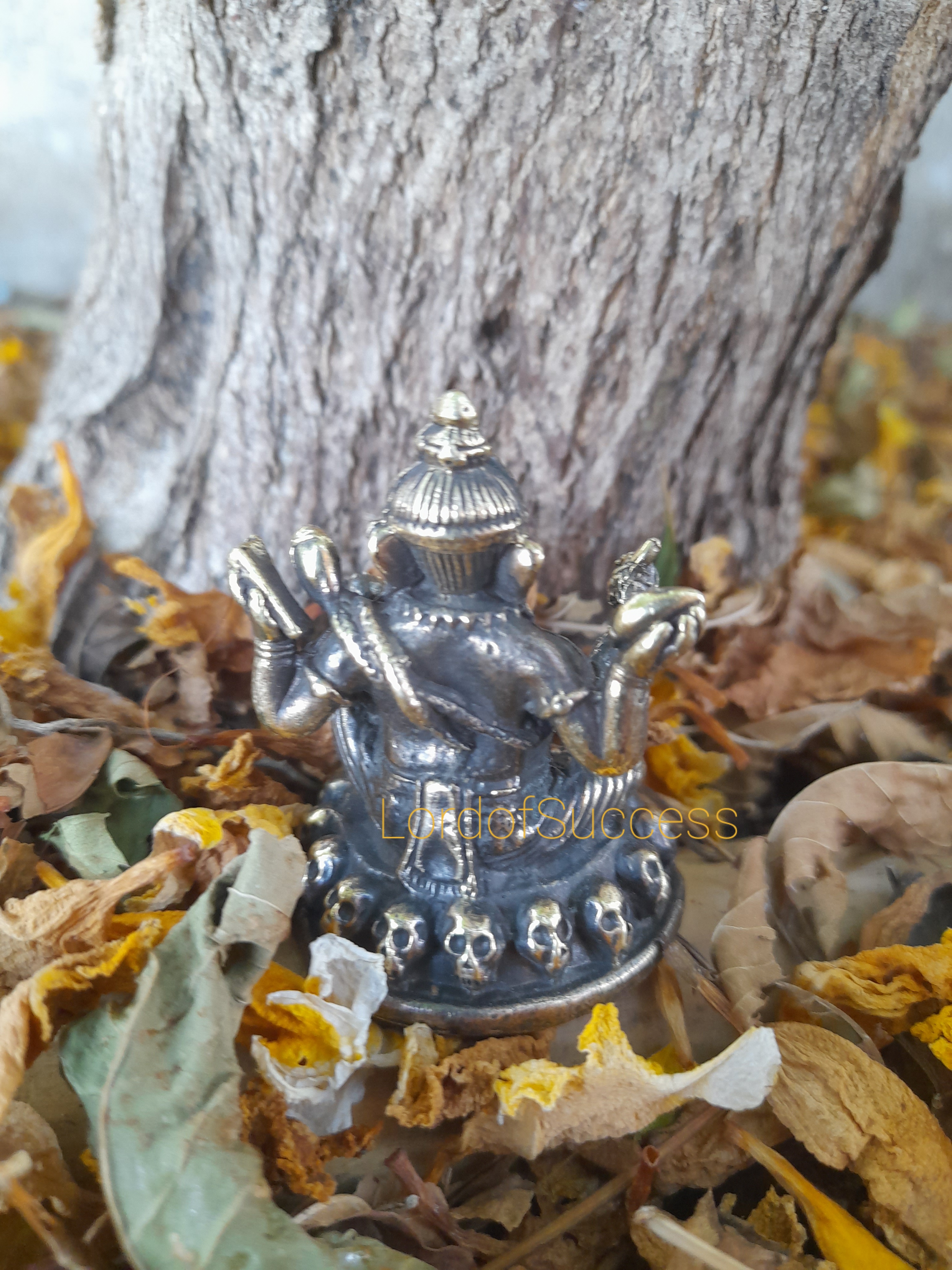 พระพิฆเนศทองเหลือง ประทับบนหัวกระโหลก อำนาจเหนือภูติ ผี ปีศาจ