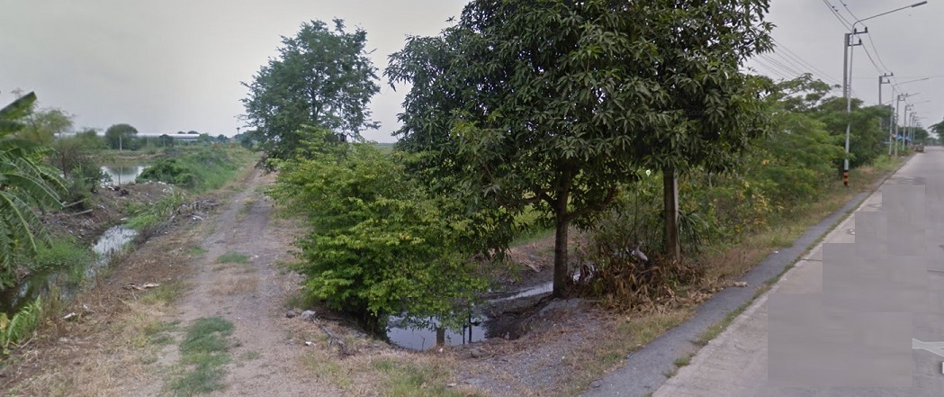 0431 ขายที่ดิน 46 ไร่ ใกล้ถ.ลำลูกกา (คลอง 11) อ.ลำลูกกา ปทุมธานี