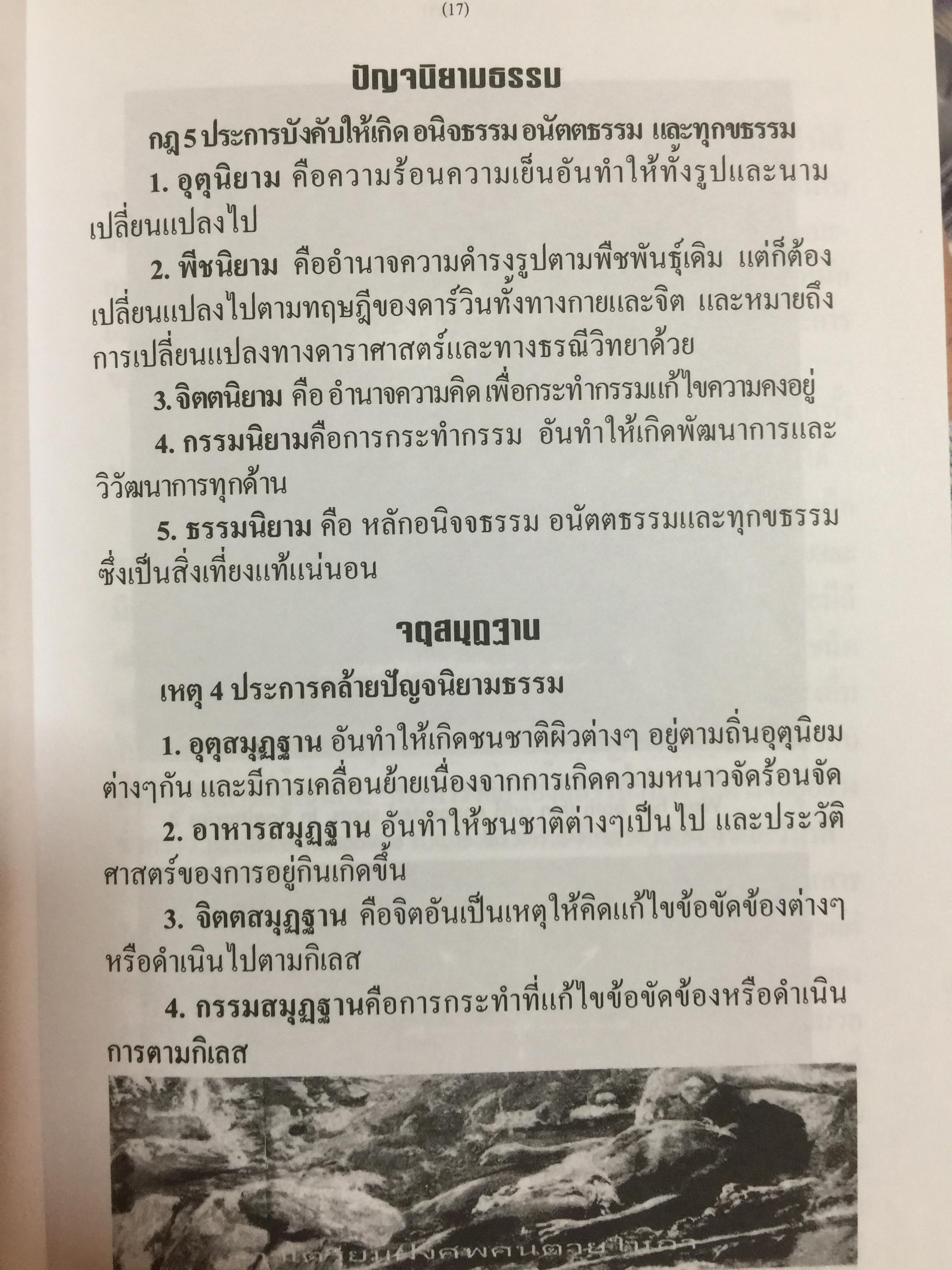 ปัญญาวิวัฒน์ ภาค 1. กำเนิดและวิวัฒนาการปัญญามนุษย์ ผู้เขียน พ.อ.สมัคร บุราวาศ 0 กก.
