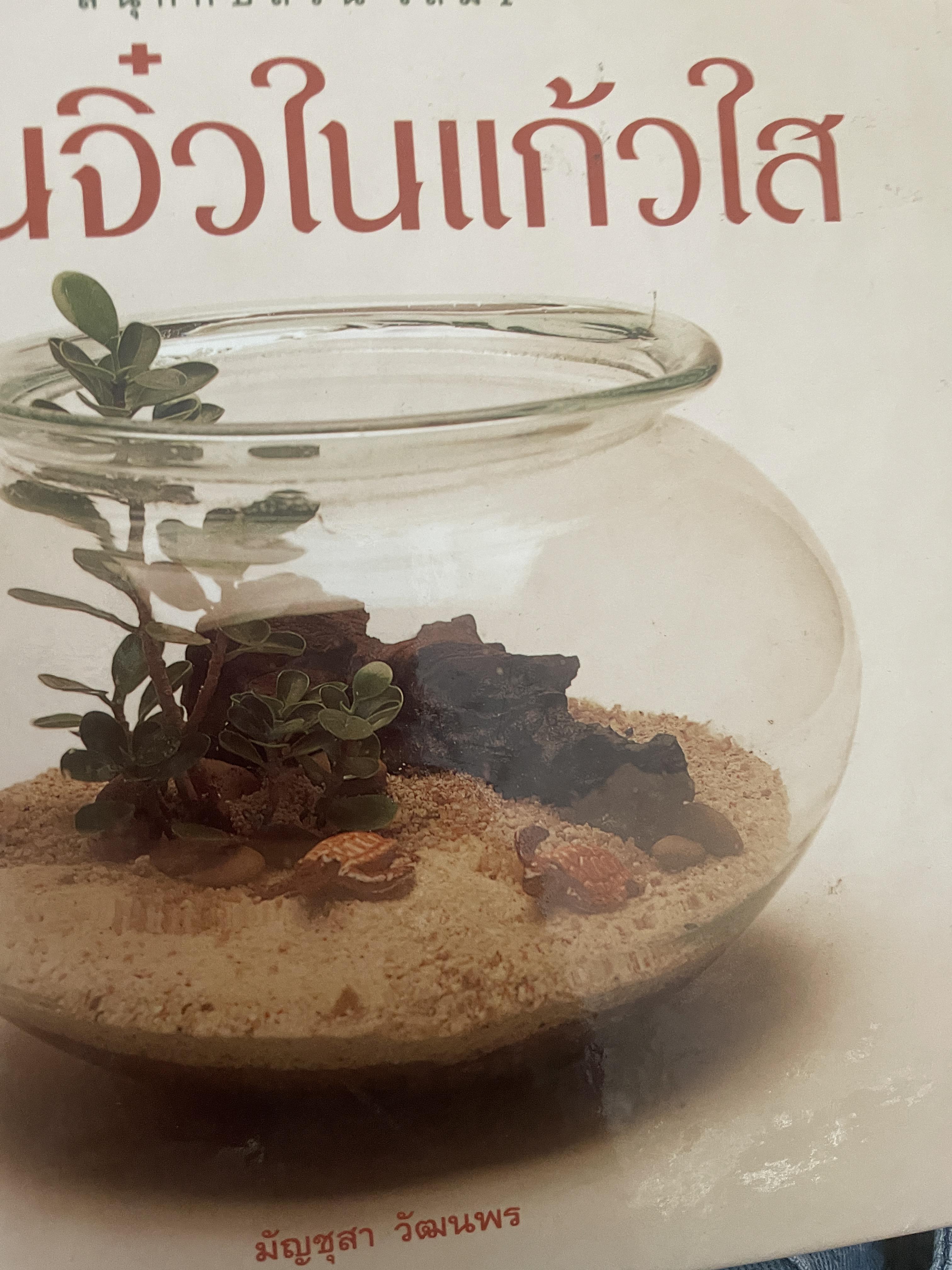 สวนจิ๋วในแก้วใส 1 กก.