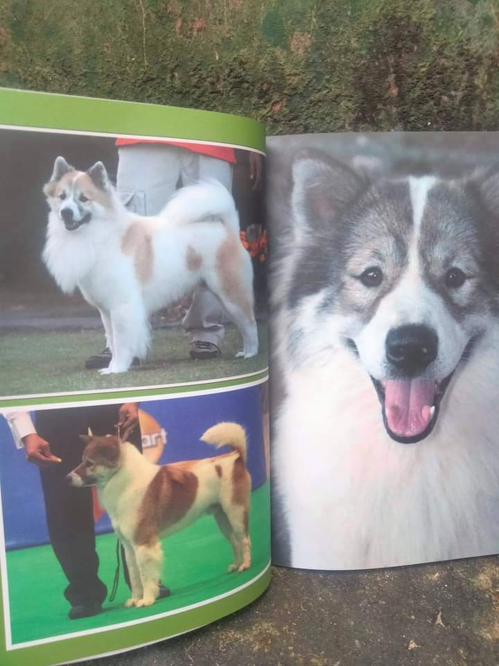 คู่มือการเลี้ยงมะหมาน่ารัก เล่ม 1-2