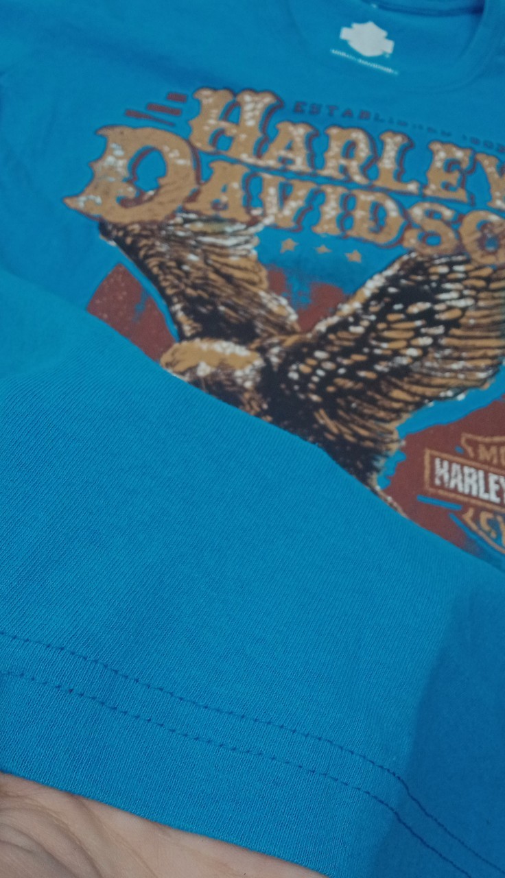 เสื้อยืดแขนสั้น H-D แนววินเทจ นกอินทรี ฟ้า S