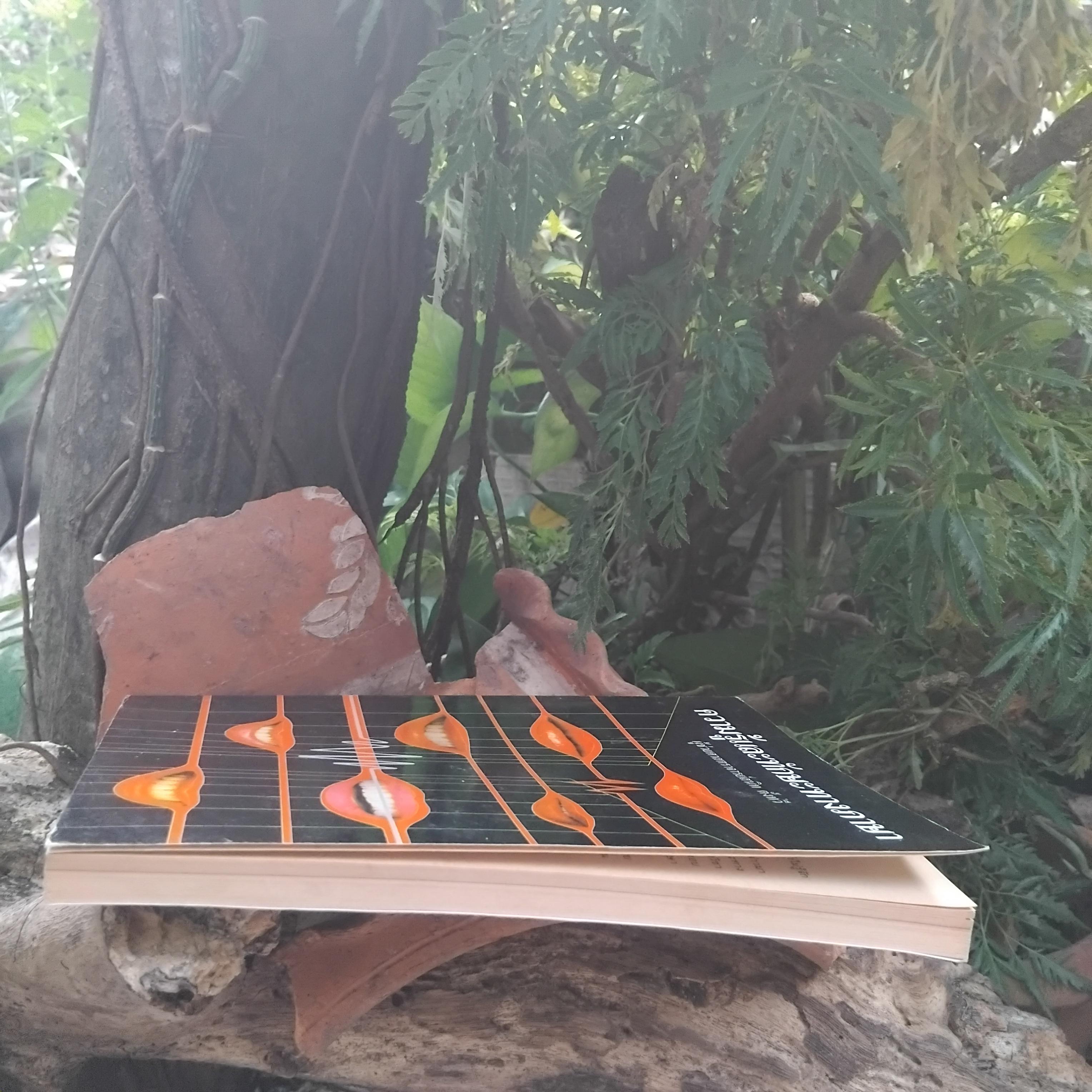 ความรู้และทักษะทางภาษา โดย ผช.ศ. สนิท ตั้งทวี ความรู้ภาษาไทยที่ครอบคลุมทุกระดับการใบ้ภาษาไทย มือ1