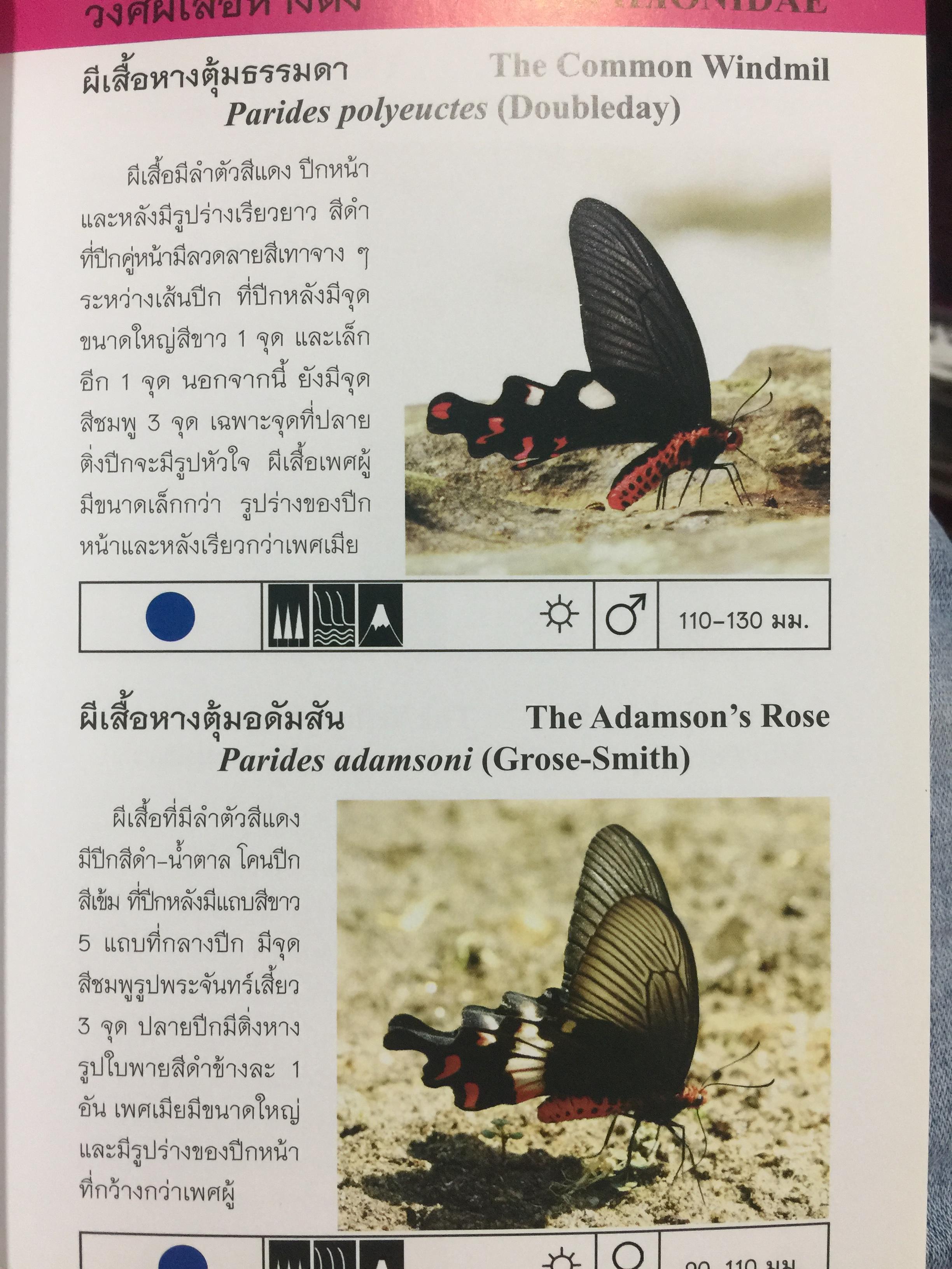 บันทึกผีเสื้อ 2. BUTTERFLIES AND SKIPPERS จัดทำโดย สำนักวิจัยการอนุรักษ์ป่าไม้และพันธุ์พืช กรมอุทยานแห่งชาติ สัตว์ป่าและพันธุ์พืช 0 กก.