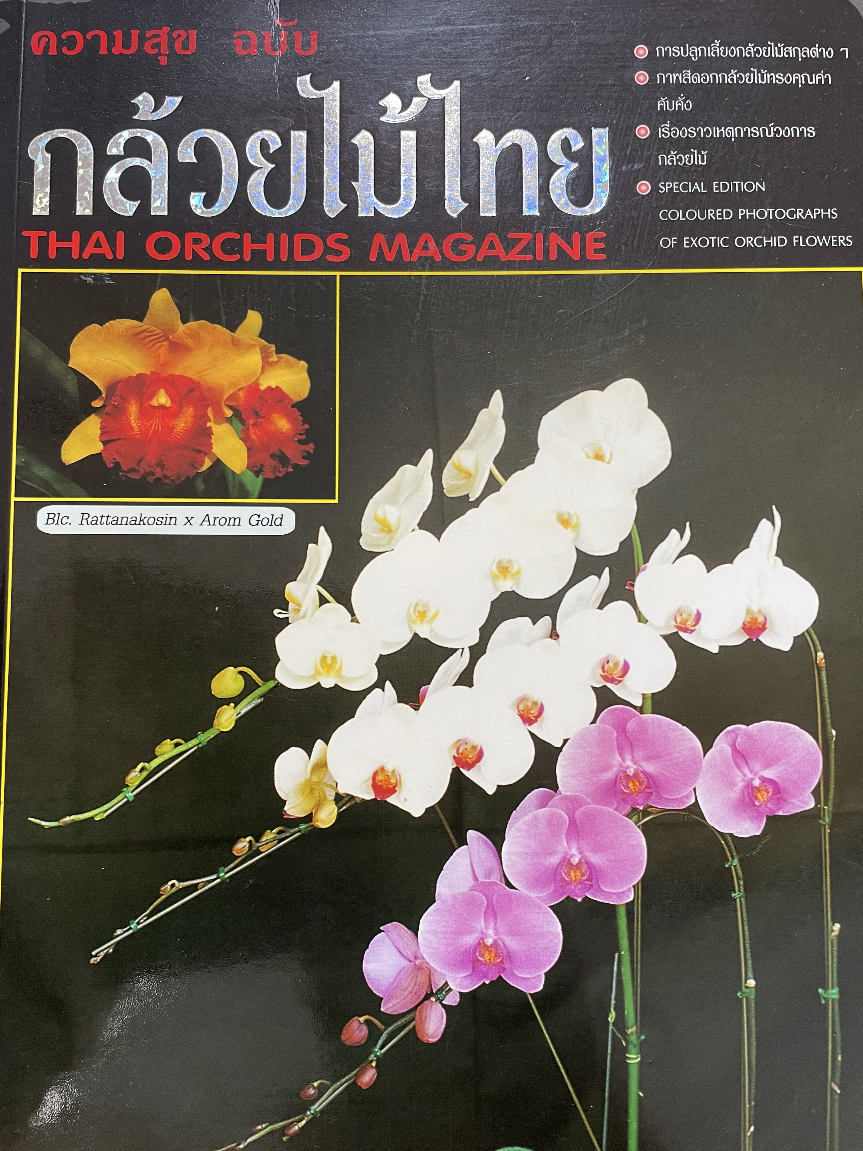 กล้วยไม้ไทย THAI. ORCHIDS MAGAZINE ความสุขฉบับกล้วยไม้ไทย การปลูกเลี้องกล้วยไม้สกุลต่างฯ ภาพสีดอกกล้วยไม้ทรงคุณค่าคับคั่ง เรื่องราวเหตุการณ์วงการกล้วยไม้ 3 กก.