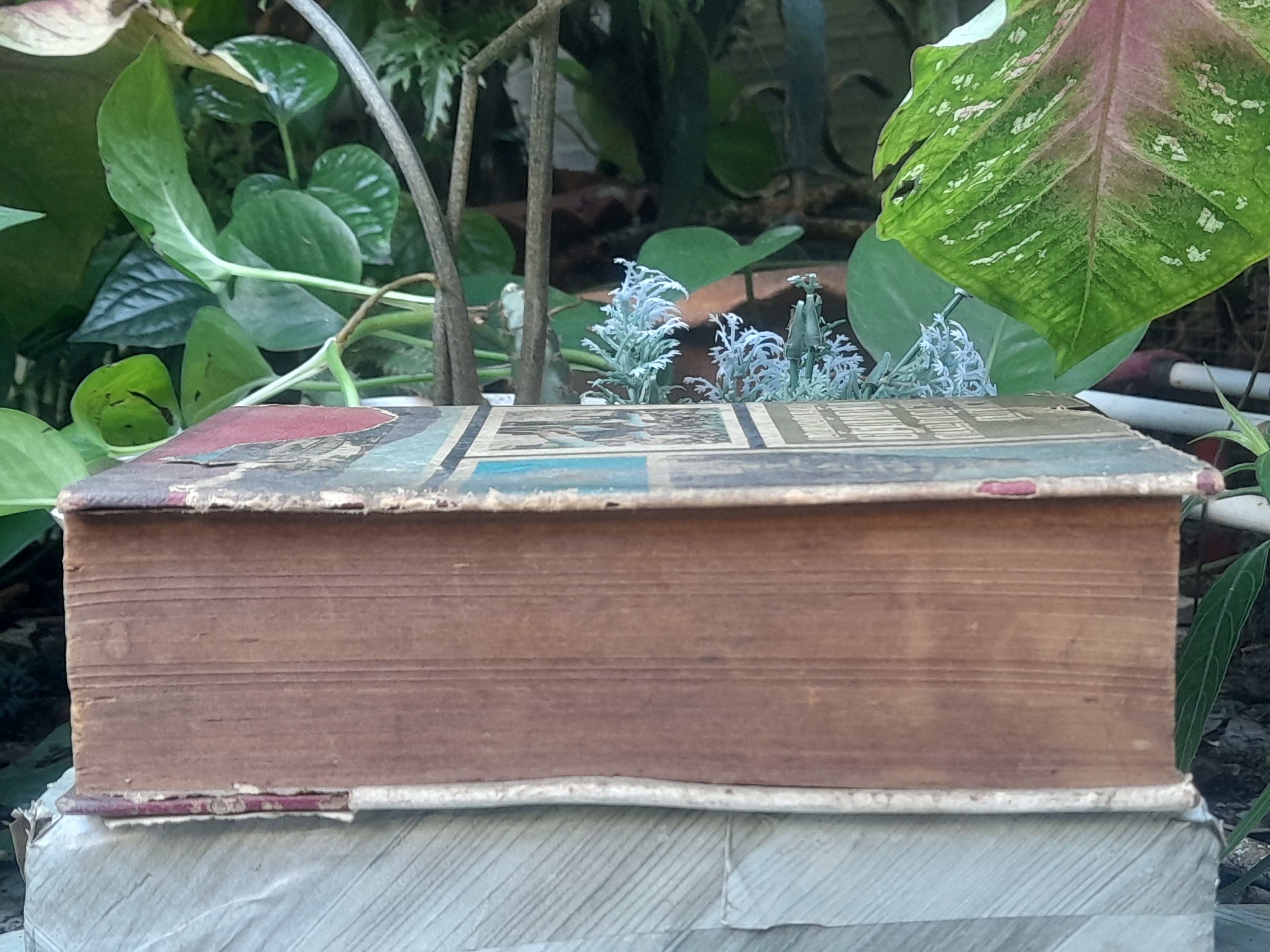 ประเพณีและวัฒนธรรมเมืองเหนือ (เที่ยวเมืองเหนือ) โดย สงวน โชติสุขรักษ์ เสน่ห์ ในประเพณีและวัฒนธรรมของเมืองเหนือ ที่น่าสนใจและหาอ่านได้ยาก