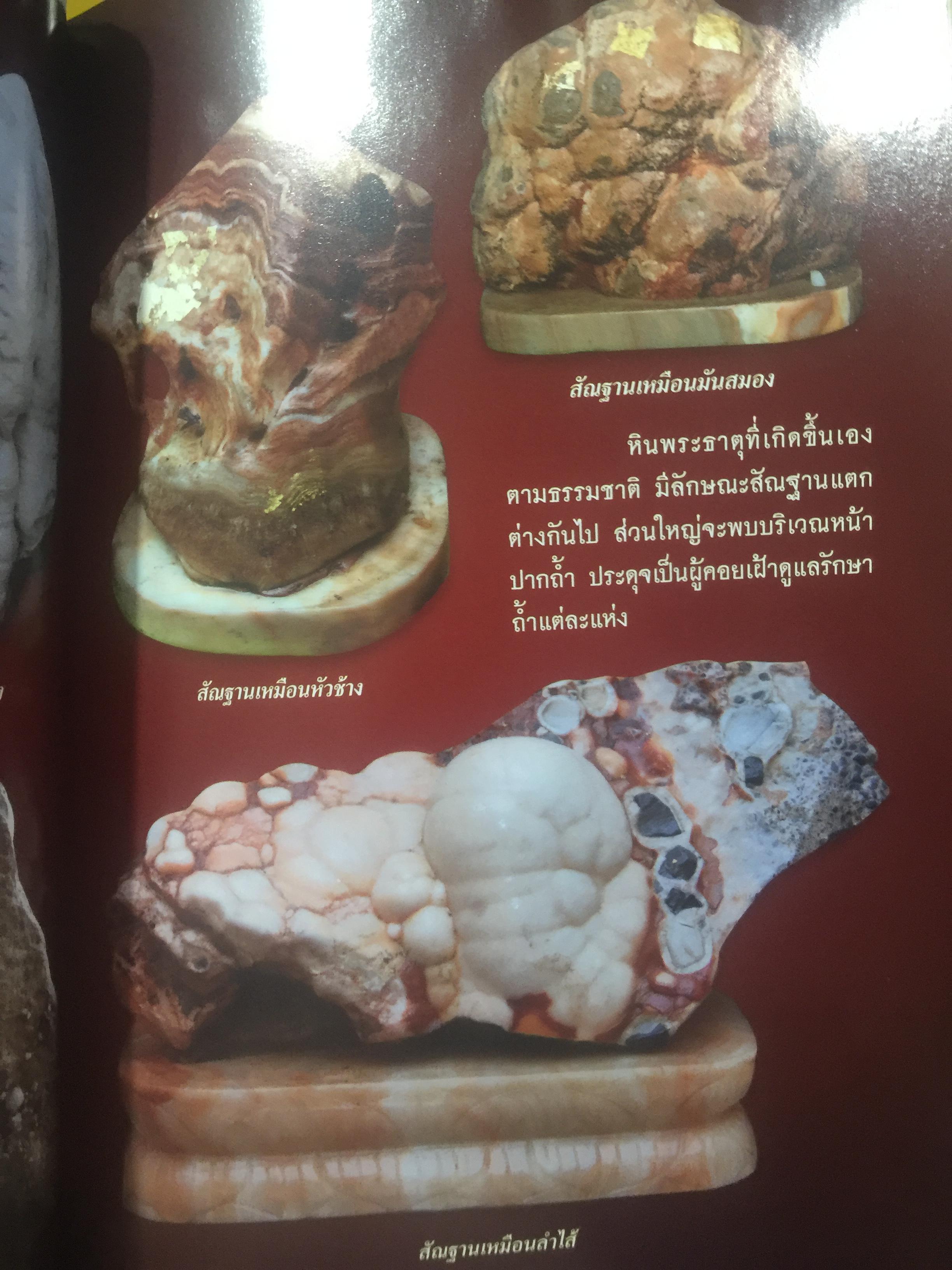 หินพระธาตุปัจเจกพุทธเจ้า. หินศักดิ์สิทธ์จากเขาสามร้อยยอด (จังหวัดประจวบคีรีขันธ์ ) เปิดตำนานหินศักดิ์สิทธ์หนึ่งเดียวในโลก ที่มีปาฏิหาริย์ลึกลับสุดหยั่งคาด สู่วัตถุมงคลที่ทรงอานุภาพ ด้านมหาอุค แคล้วคลาด กันภัย ค้าขายร่ำรวย ผู้เขียน ทศพล จังพานิชย์กุล 2 กก.