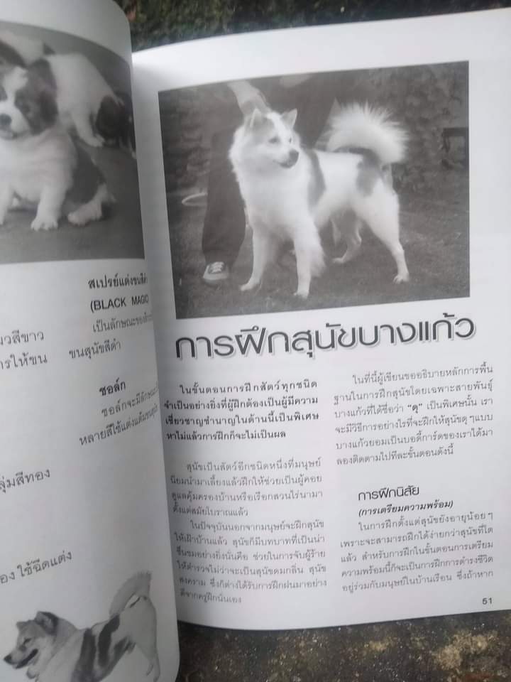 คู่มือการเลี้ยงมะหมาน่ารัก เล่ม 1-2