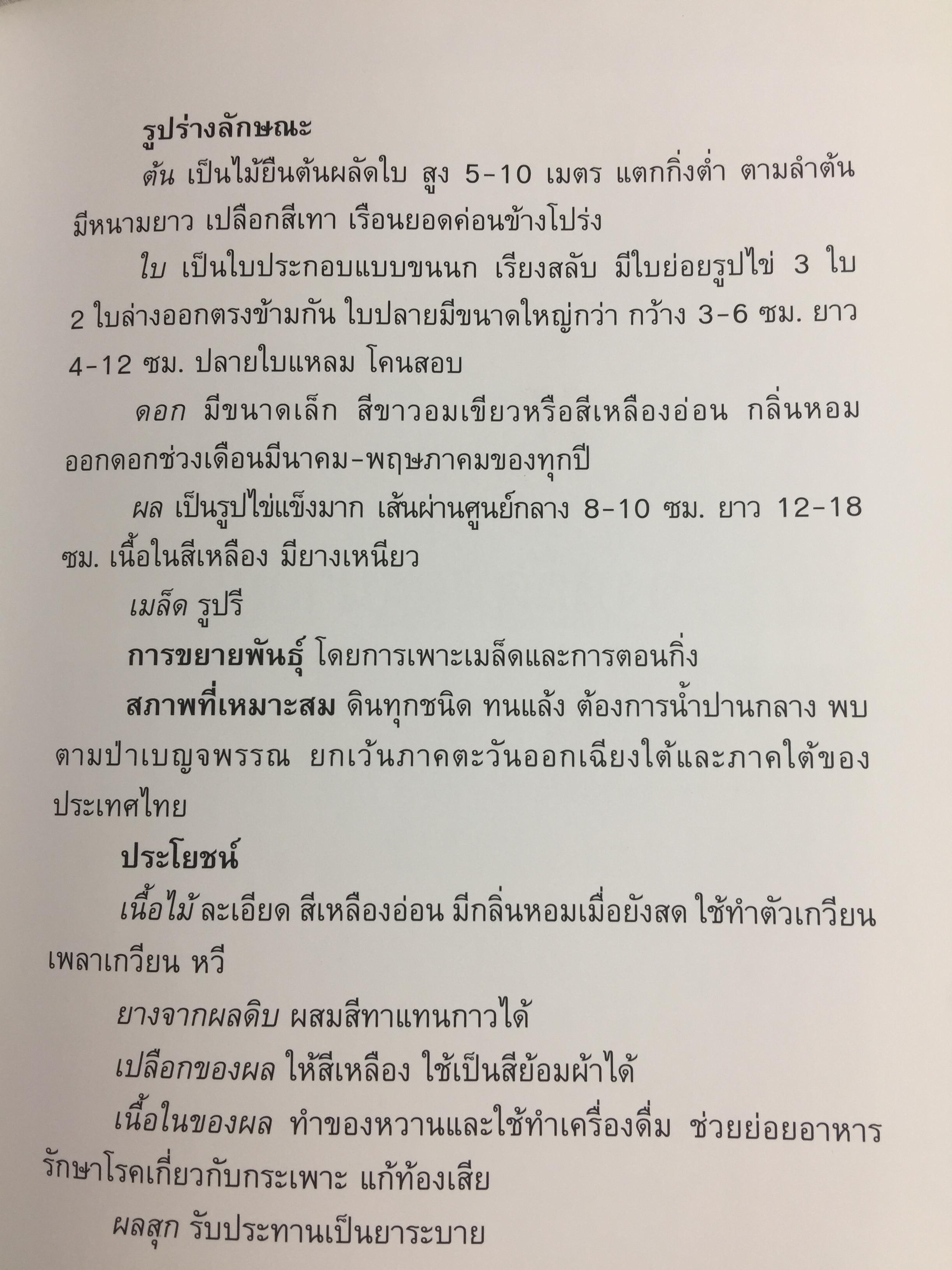 ยาสูบไทย หัวใจสีเขียว. พรรณไม้มงคลประจำจังหวัด สวนป่าเบญจกิติ 0 กก.