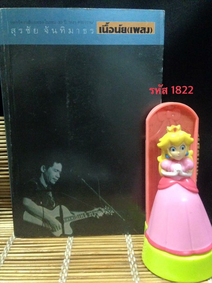 เนื้อนัย(เพลง)