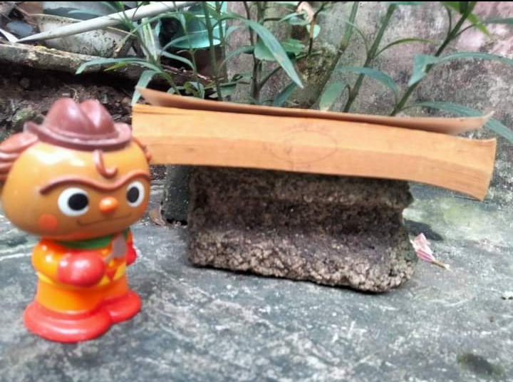 แดร๊กคิวล่า ผีดิบดูดเลือด