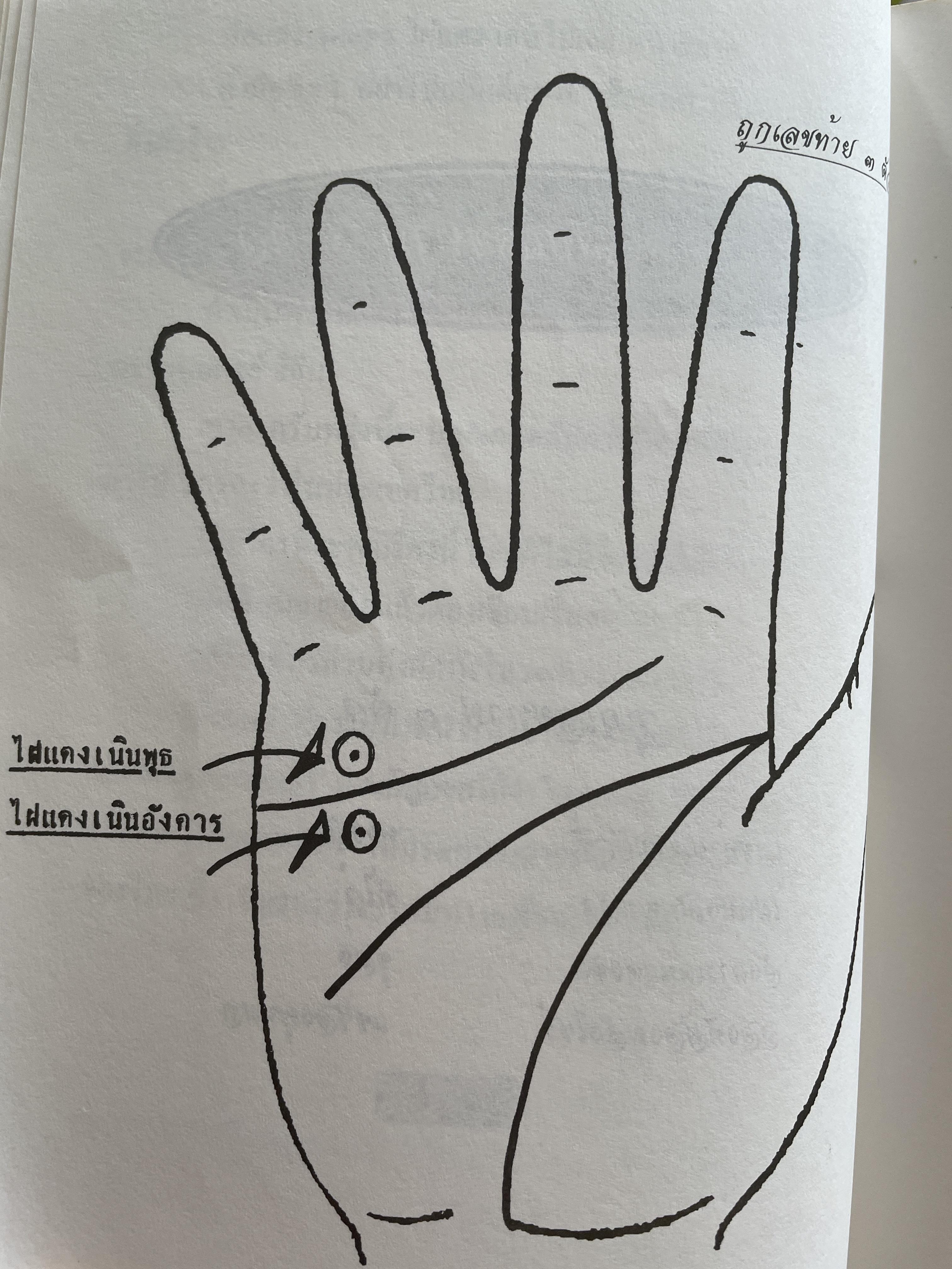 คุยเฟื่องเรื่องลายมือ โดย โหรใหญ่ บัญชา เลิศธนู ฝากวิทยายุทธ์ไว้ให้ทั่วโลกตะลึง 800 กรัม