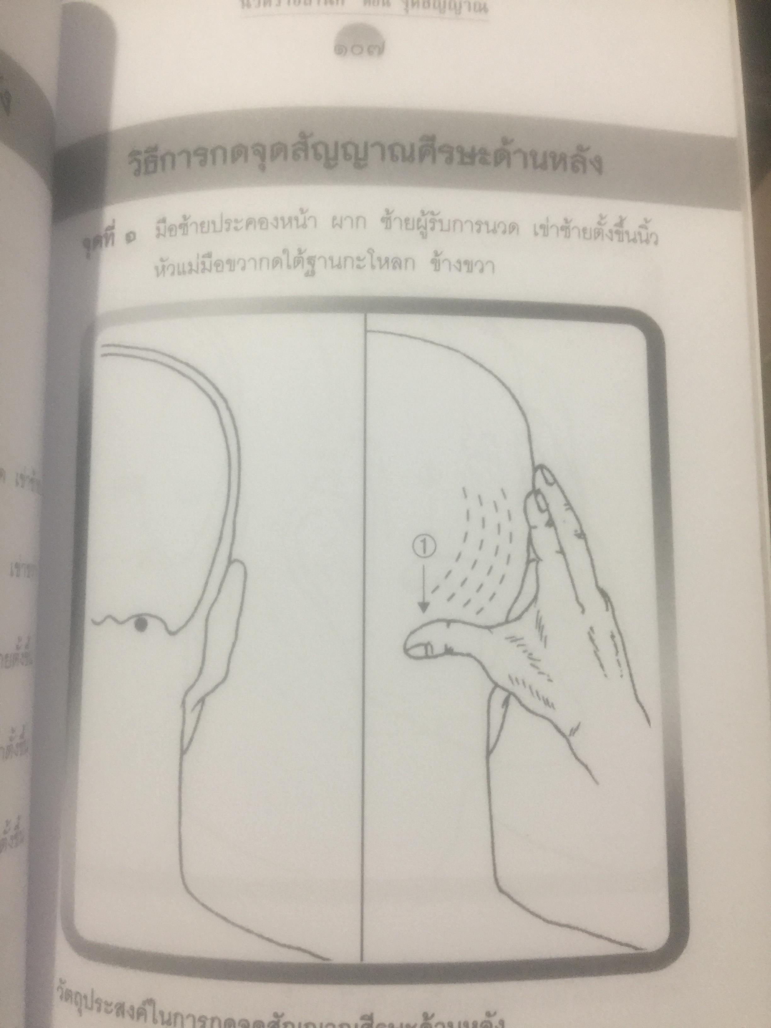 นวดราชสำนัก ตอนจุดสัญญาณ. เป็นศาสตร์และศิลป์ของการนวดแบบดั้งเดิม. สุดยอดของการนวดที่นำไปปฎิบัติได้อย่างถูกวิธี 0 กก.
