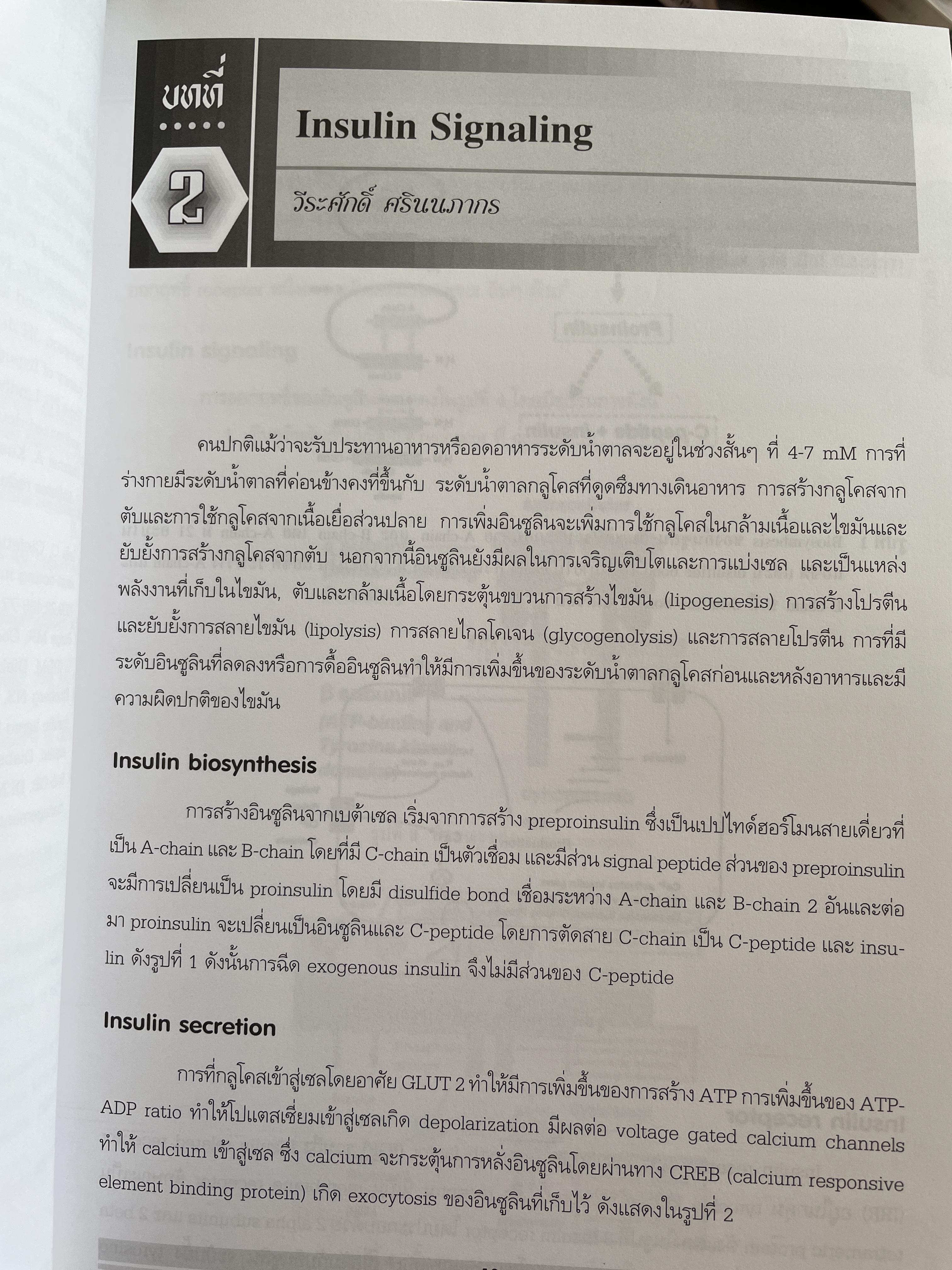 ตำราอินซูลิน (INSULIN) 0 กก.