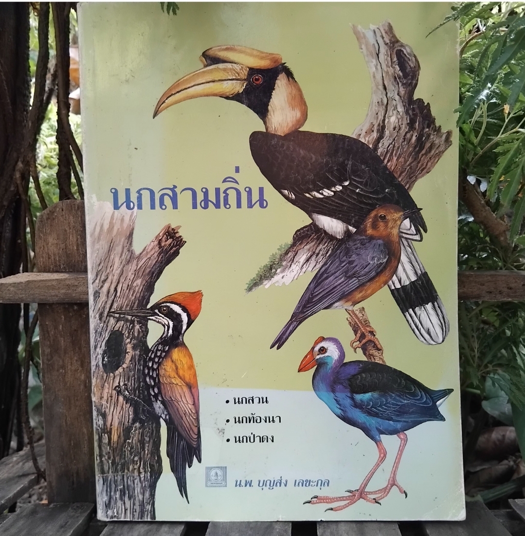 นกสามถิ่น ของ น.พ. บุญส่ง เลขะกุล สุดยอดหนังสือนกหายากอีกเล่ม มีตราปั๊มบางๆ 3 แผ่น สภาพแทบมือ1