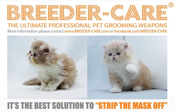 SHOW & TRAVEL KIT (LH)