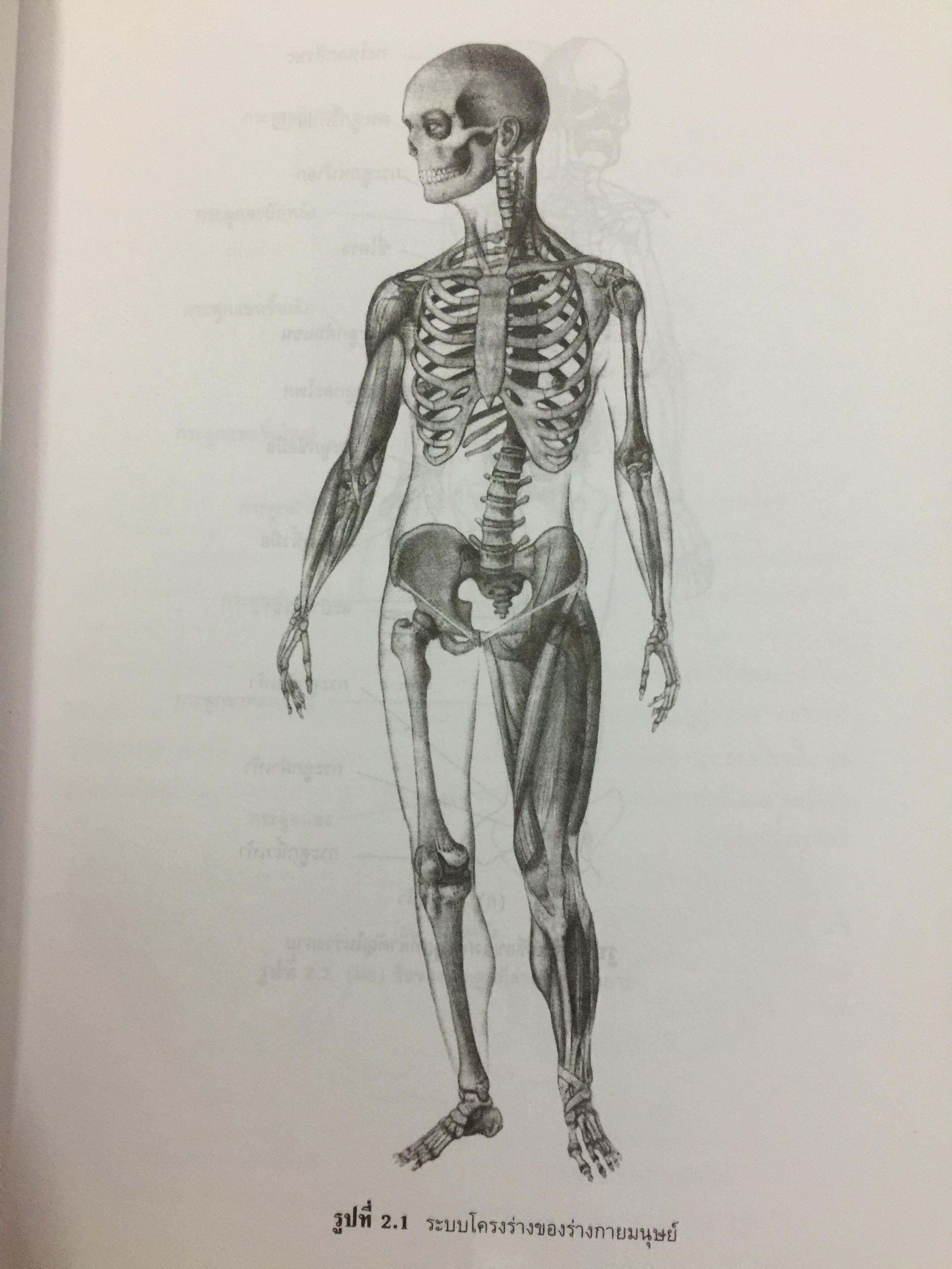Ergonomics Human Factors. เออร์กอนอมิกส์ : มนุษย์ปัจจัย. 0 กก.
