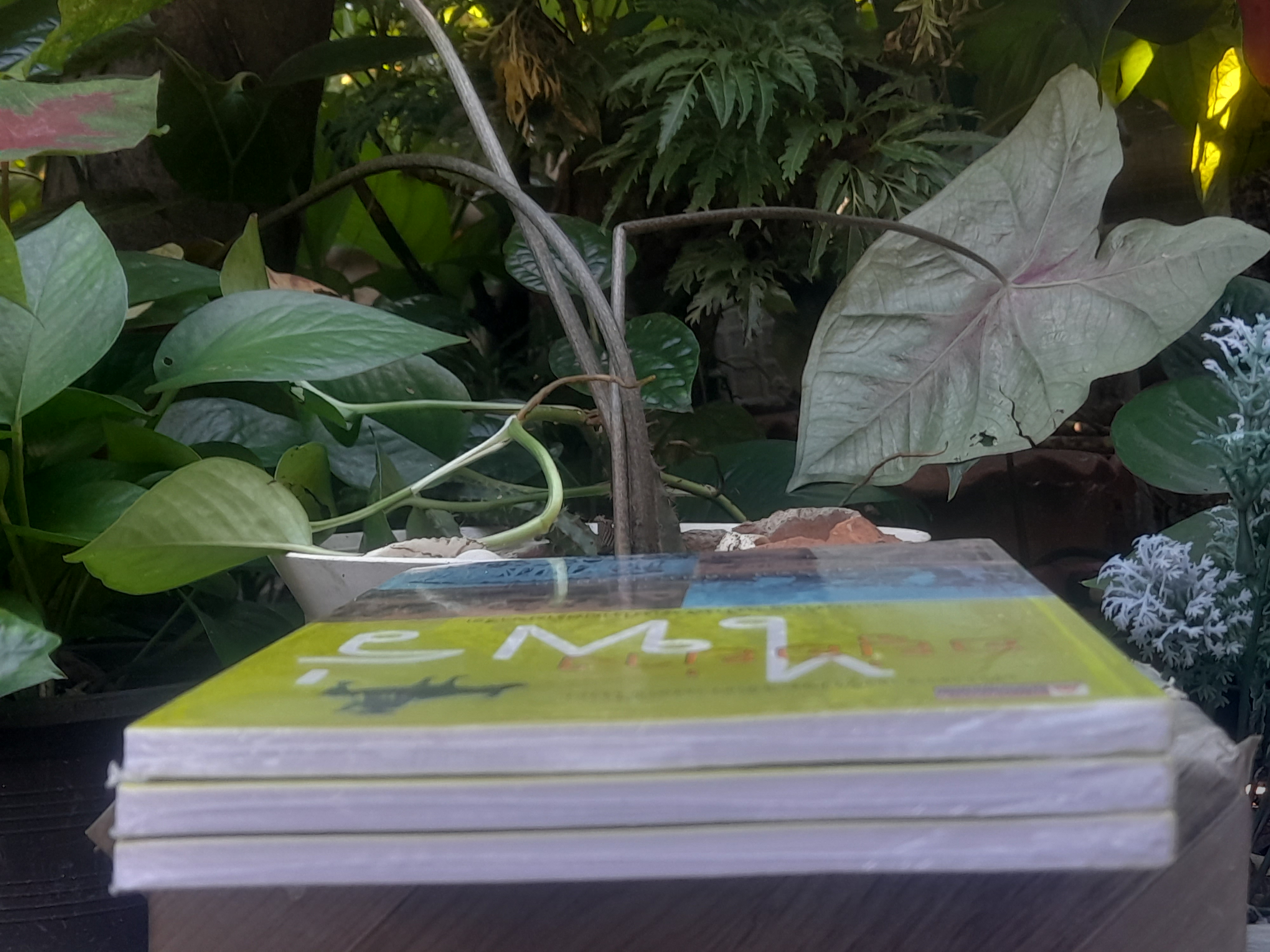 เพิ่มความรู้ประวัติศาสตร์ไทย อยู่อย่างไพร่ ระบบพื้นฐานในสังคมไทยสมัยจารีต โดย ศุภรัตน์ เลิศพาณิชย์กุล หนังสือมือหนึ่งในซีล