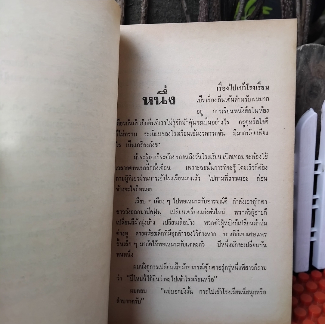 หนุ่มนักเรียน โดย พ.เนตรรังษี ภาคต่อของของเด็กบ้านสวน มือ1 วรรณกรรมชีวิตนักเรียนไทยปี 2460