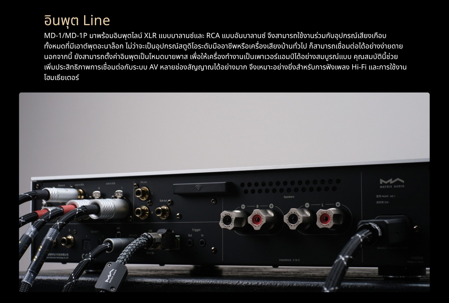 <สั่งจองล่วงหน้า> MATRIX Audio MD-1 / MD-1P เครื่องเล่นเพลงสตรีมมิ่งพร้อม DAC/AMP พรีเมี่ยมในตัว ประกันศูนย์ไทย