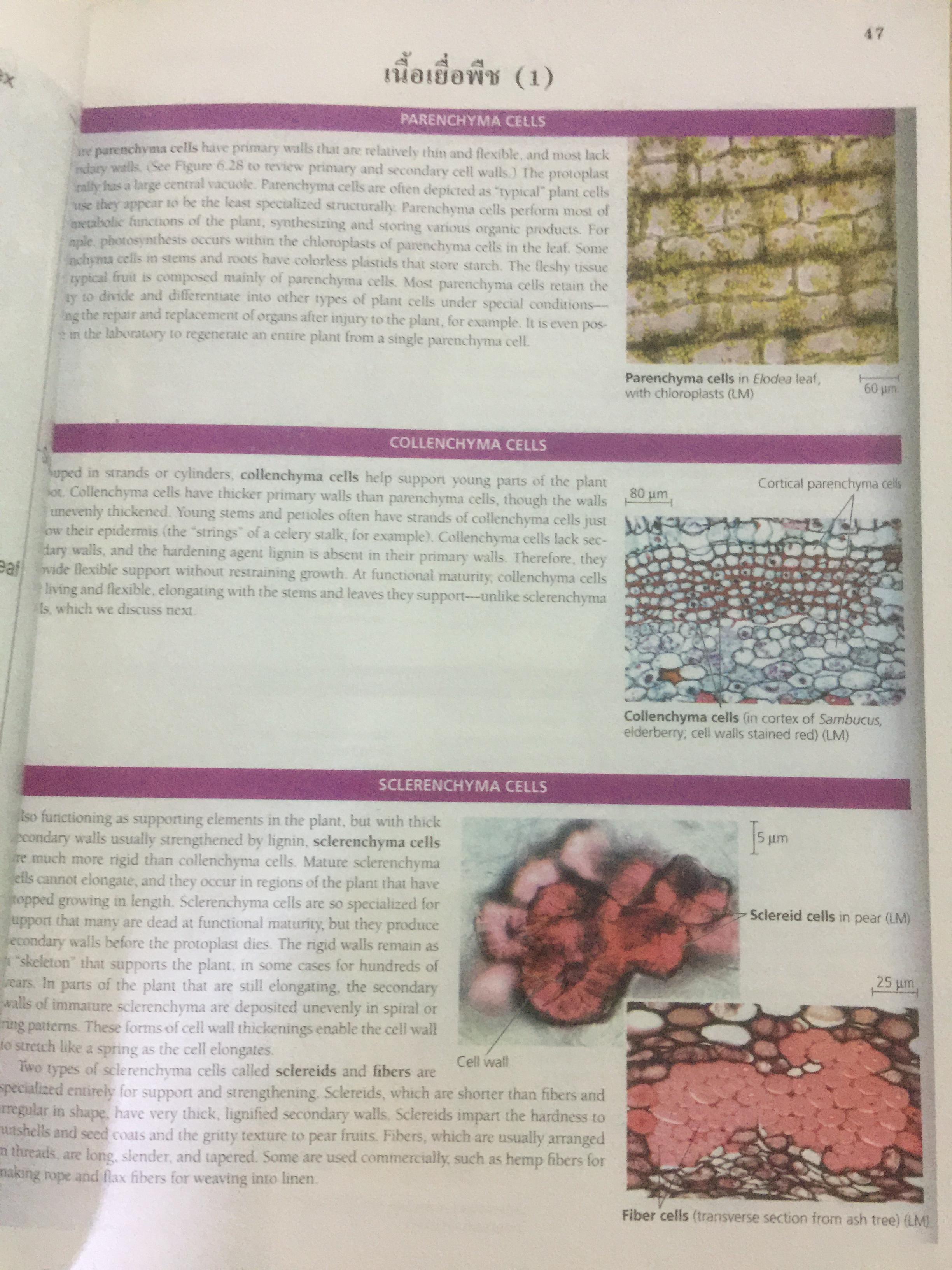 BIOLOGY ผู้เขียน อาจารย์ เอกฤทธิ์ วีระพันธุ์ 0 กก.