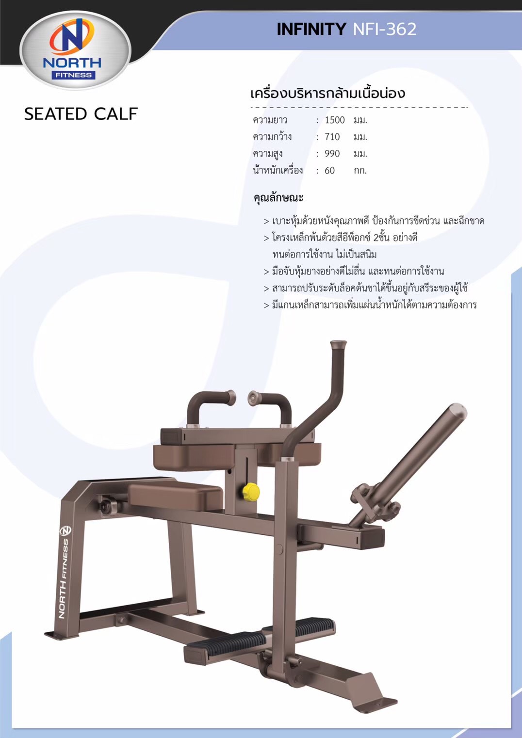 Seated Calf