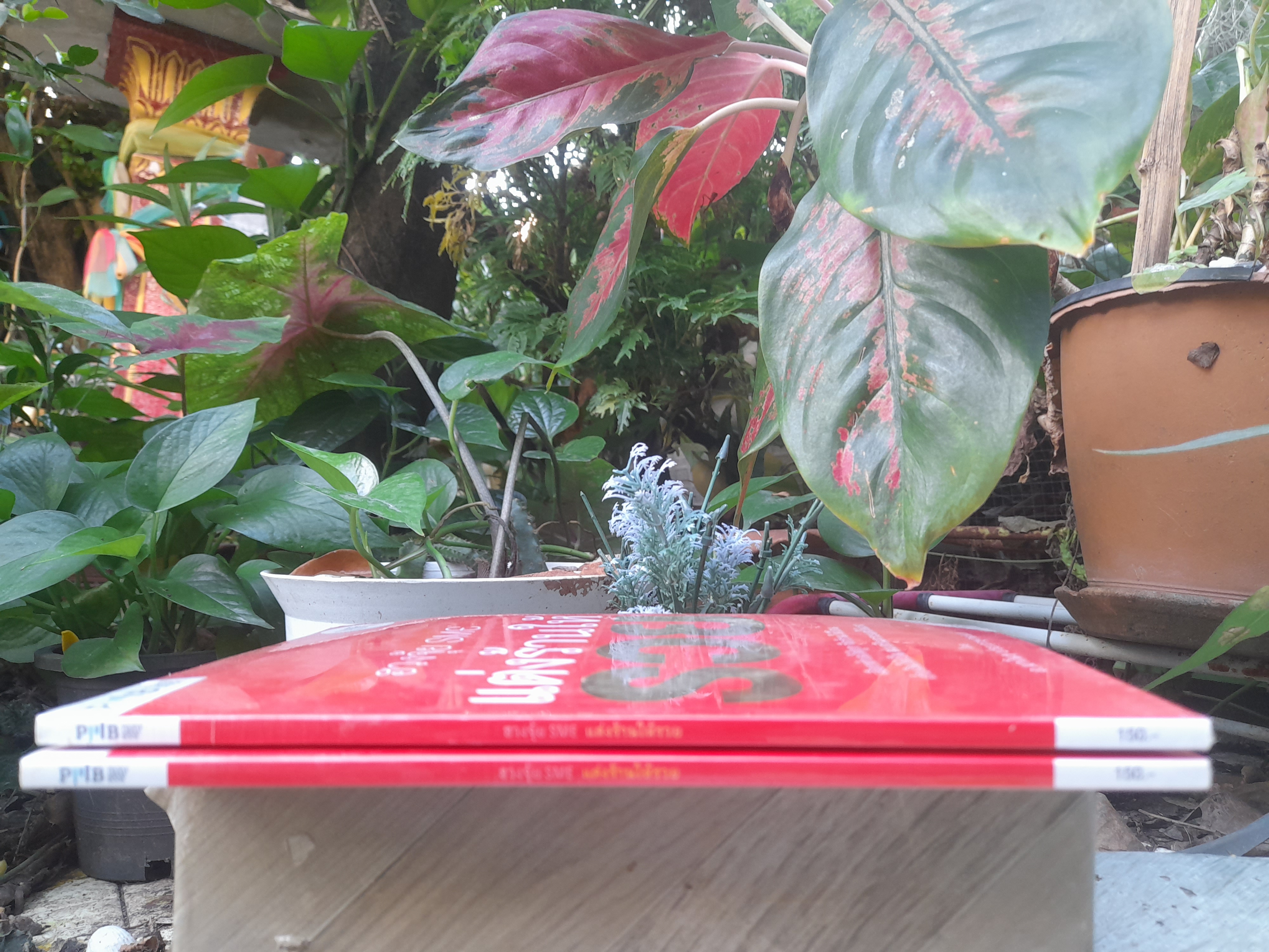 ฮวงจุ้ย SME แต่งร้านให้รวย โดย อ.มาโนช ประภาษานนท์ มือหนึ่งในซีล พร้อม CD รายการฮวงจุ้ย SME