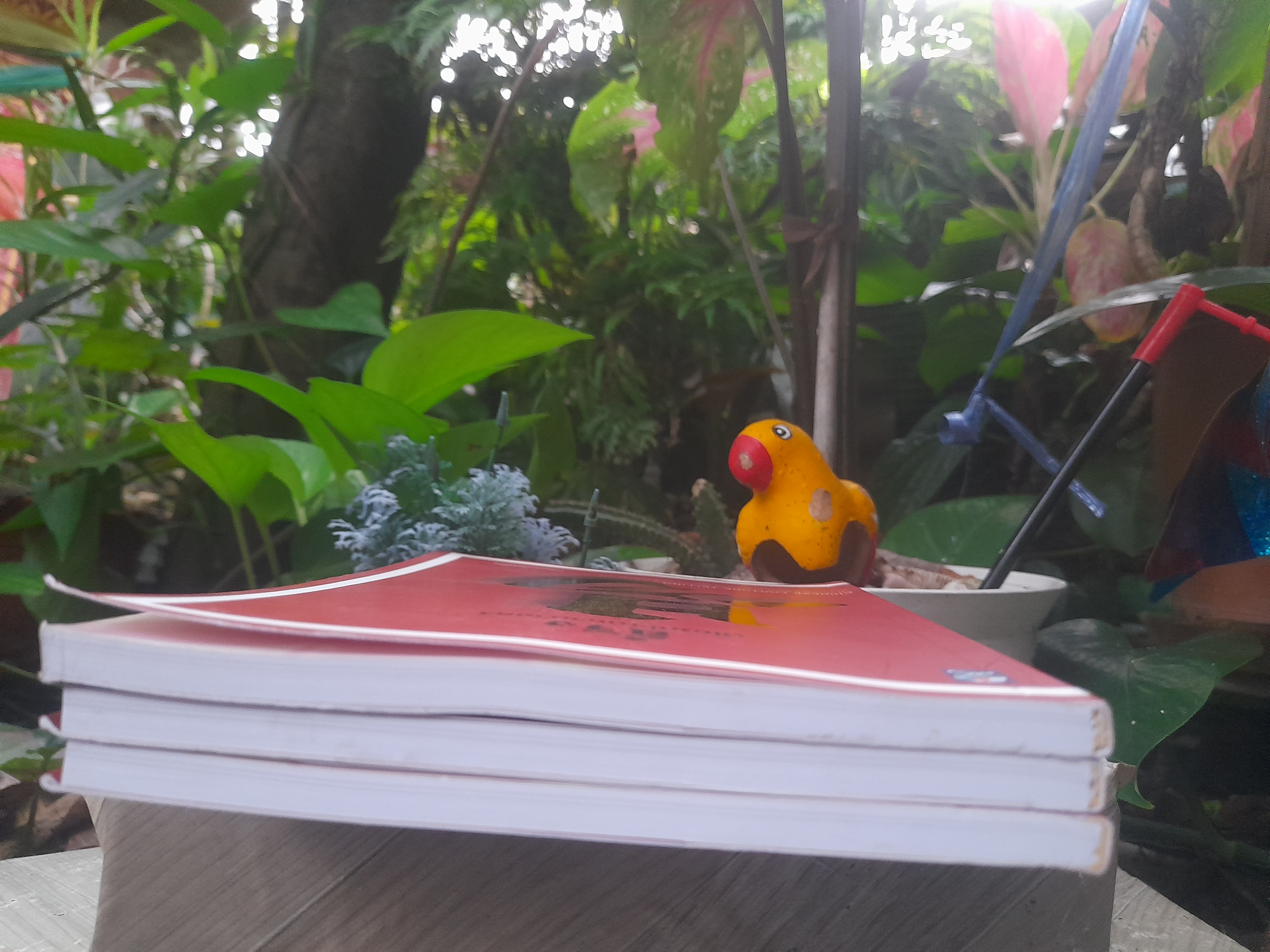 อี้จิง เซียมซีวิทยาศาสตร์ แปลโดย ละเอียด ศิลาน้อย หนังสือดีที่แปลและตีพิมพ์มาแล้วไม่ต่ำกว่า 8 ครั้ง