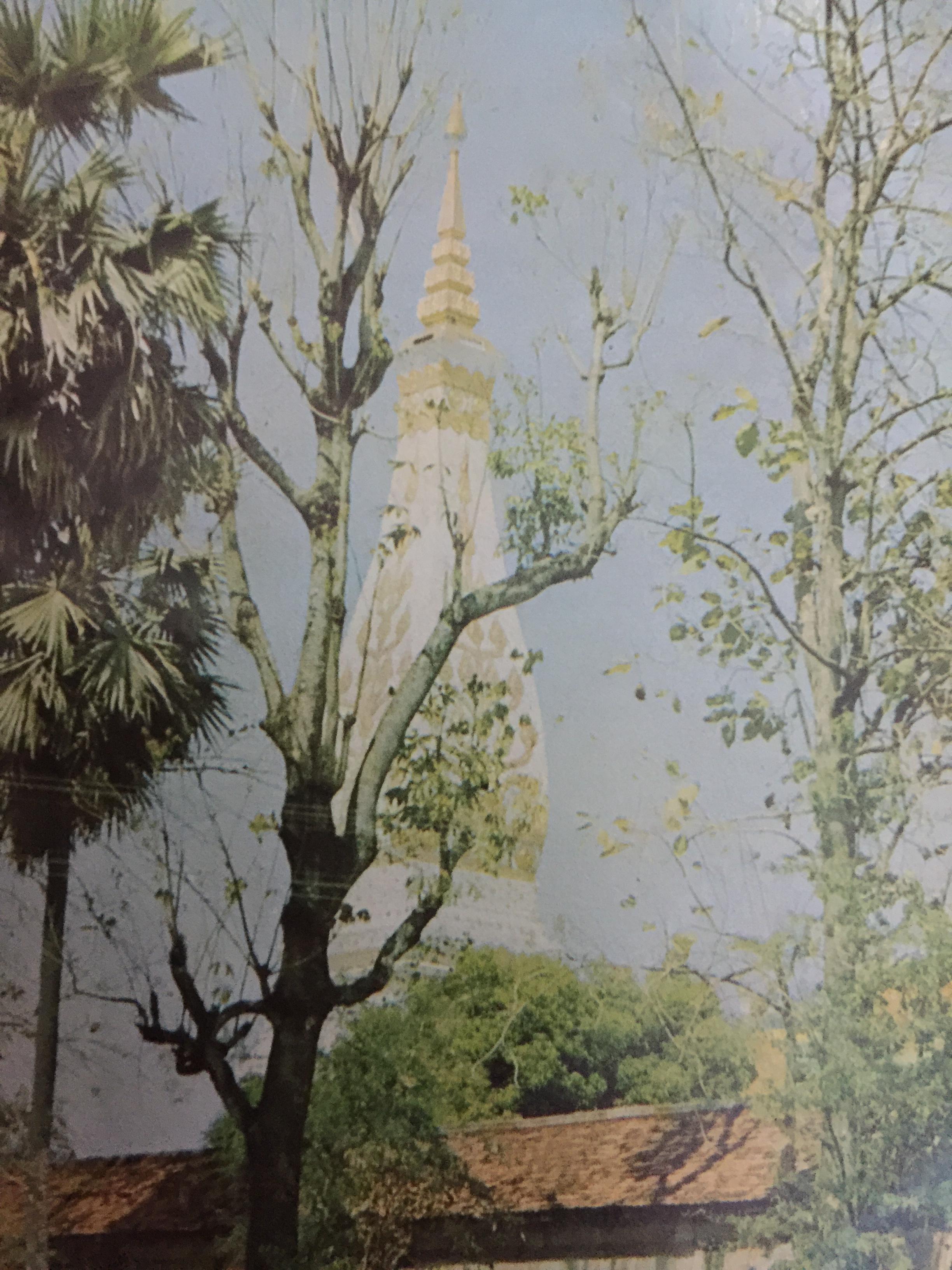 พญานาคทั้งเจ็ด ที่พระธาตุพนม เป็นหนังสือชุด เมืองไทยแผ่นดินศักดิ์สิทธิ์ โดย ชุติ สัมโพธิปัญญา 0 กก.