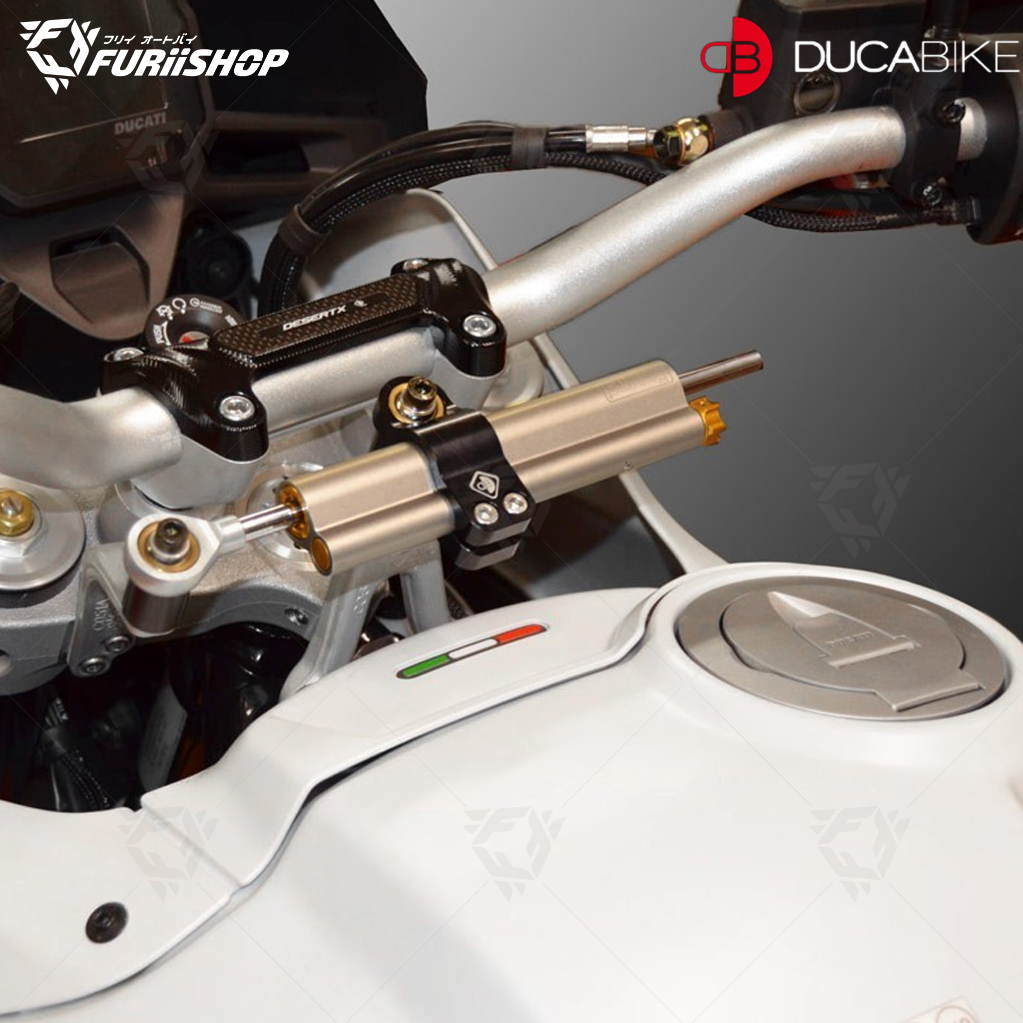 ขาจับกันสะบัด DUCABIKE For : DESERT X