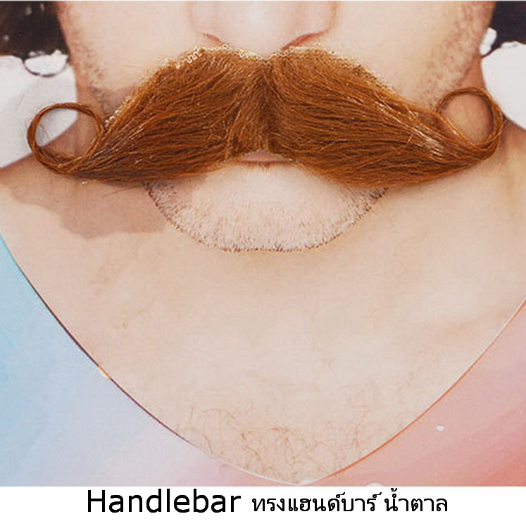 หนวดปลอม รุ่นพิเศษ หนวดแฟนซี