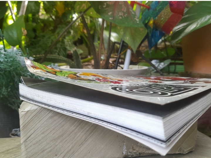 VRZO STICKER BOOK หนังสือรวมภาพ สติ๊กเกอร์จาก VRZO มากกว่า 100 ลาย ที่คุณสามารถลอกไปใช้ได้จริง