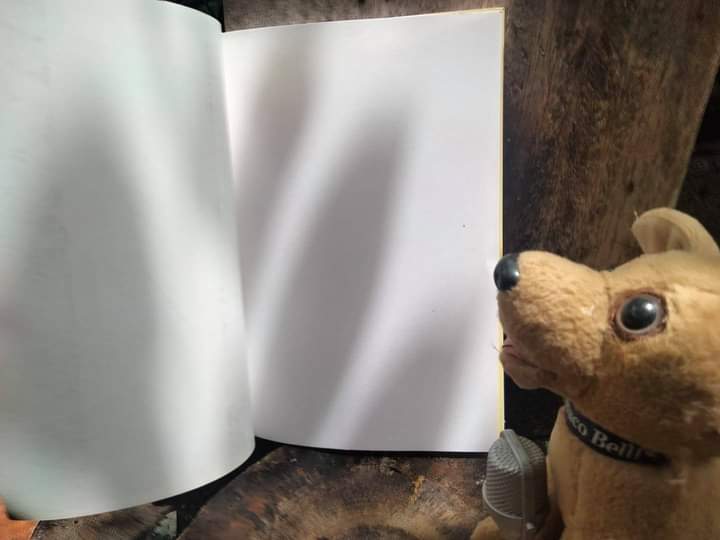 จินตวรรณคดีไทย หนังสือที่ทำร่วมระหว่าง ครูเปลื้อง ณ นคร กับ ครูเหม เวชกร