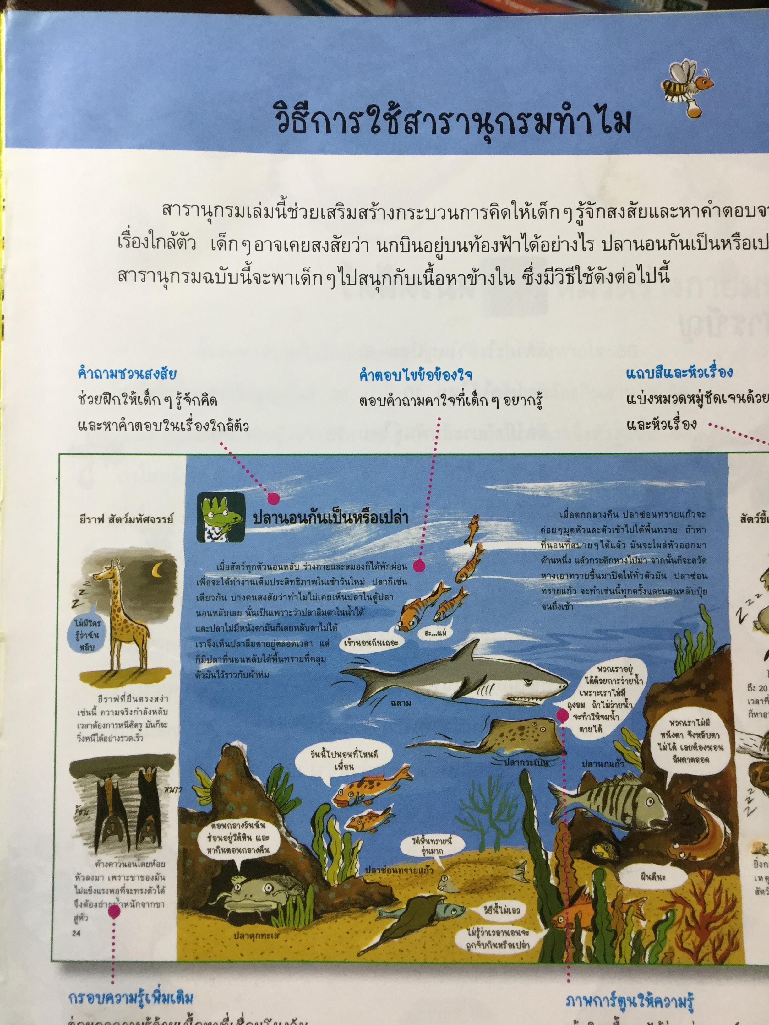 สารานุกรม ทำไม. เฉลยสารพันข้อสงสัยที่คาใจเด็กฯ 0 กก.