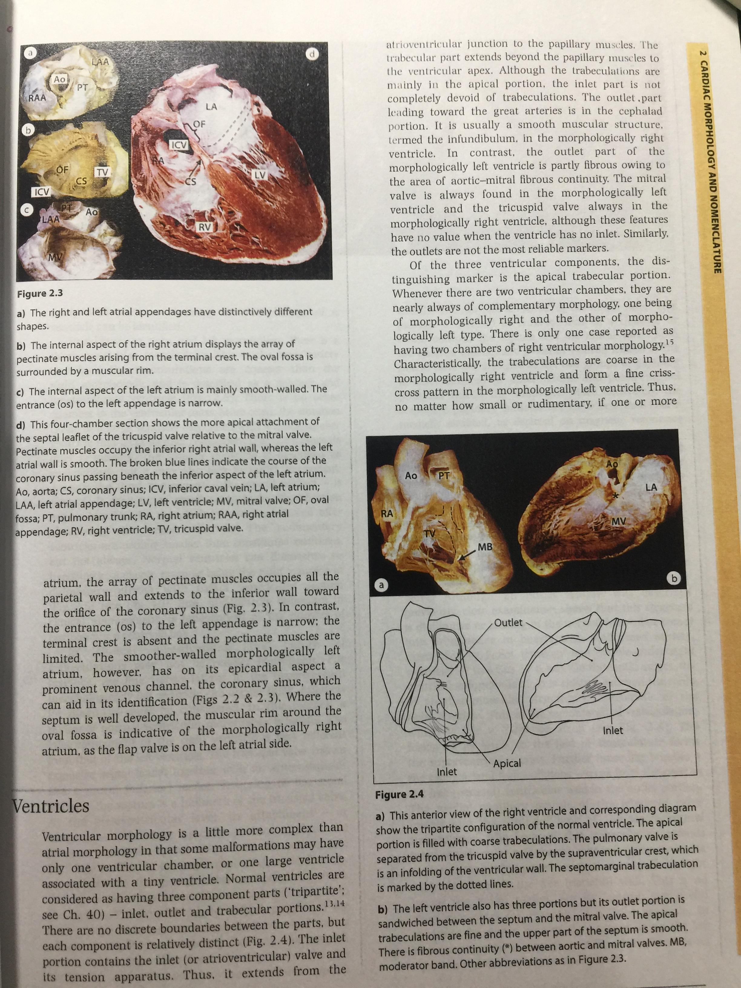 ADULT CONGENITAL HEART DISEASE. Diagnosis and Management 0 กก.