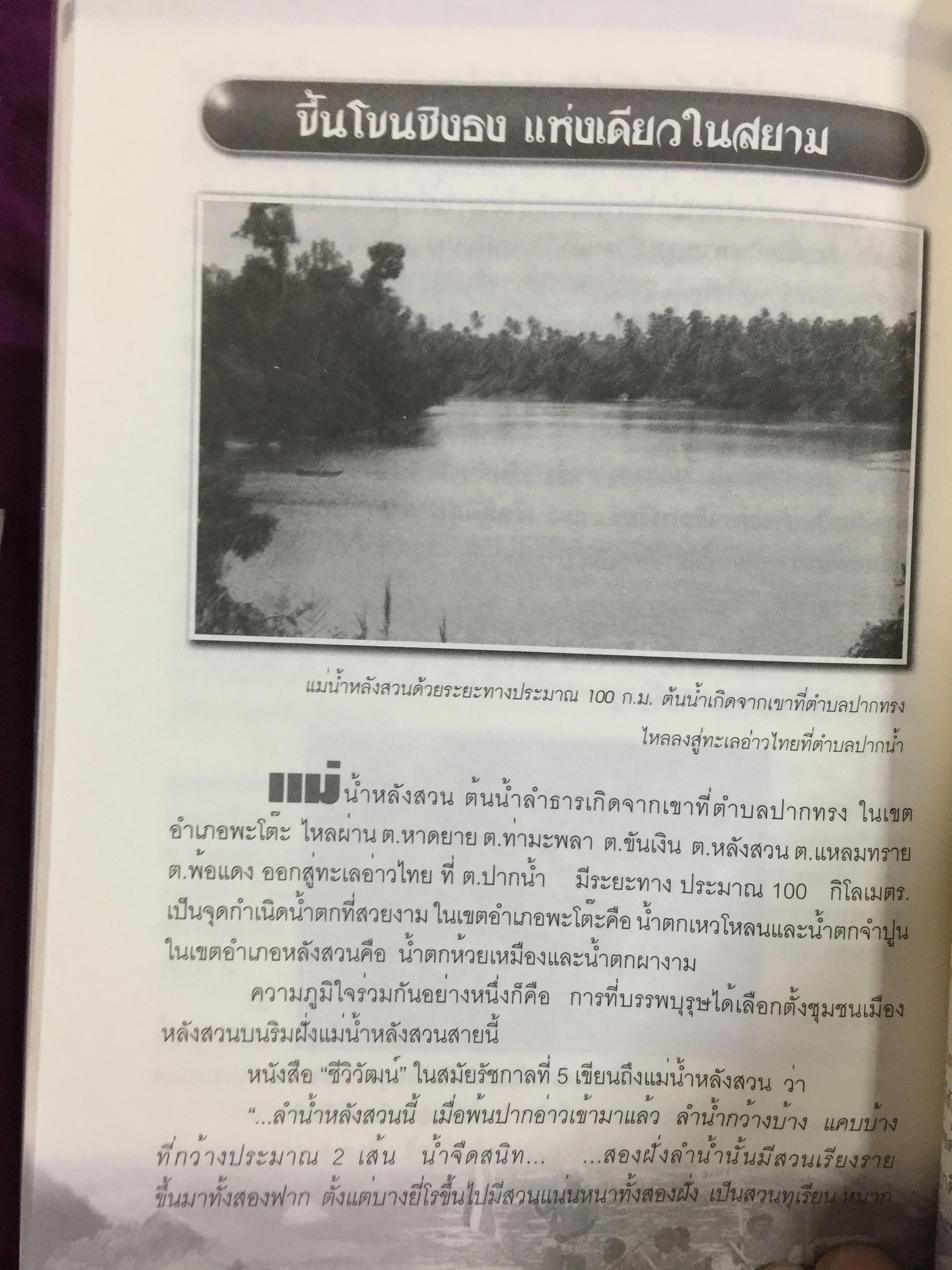 แลหลังสวน (ชุมพร) หนังสือชุดประวัติศาสตร์ท้องถิ่น ผู้เขียน จารุวัสตร์ วงษ์วิเศษ 0 กก.