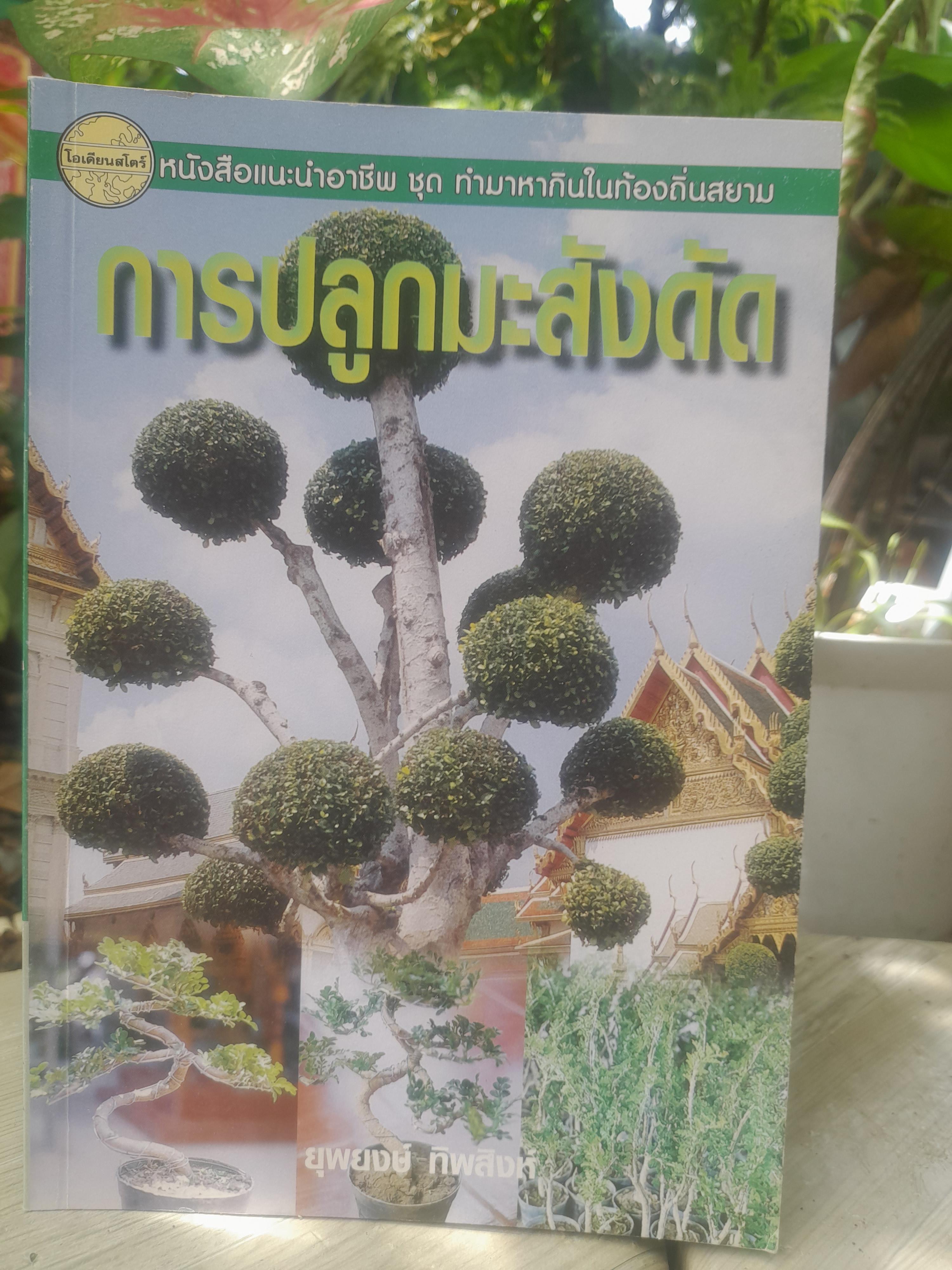 ไม้ดัด การปลูกมะสังดัด โดย ยุพยงษ์ ทิพสิงห์ เนื้อหาละเอียดตั้งแต่เริ่มปลูกจนถึงการดูแลมะสังดัด