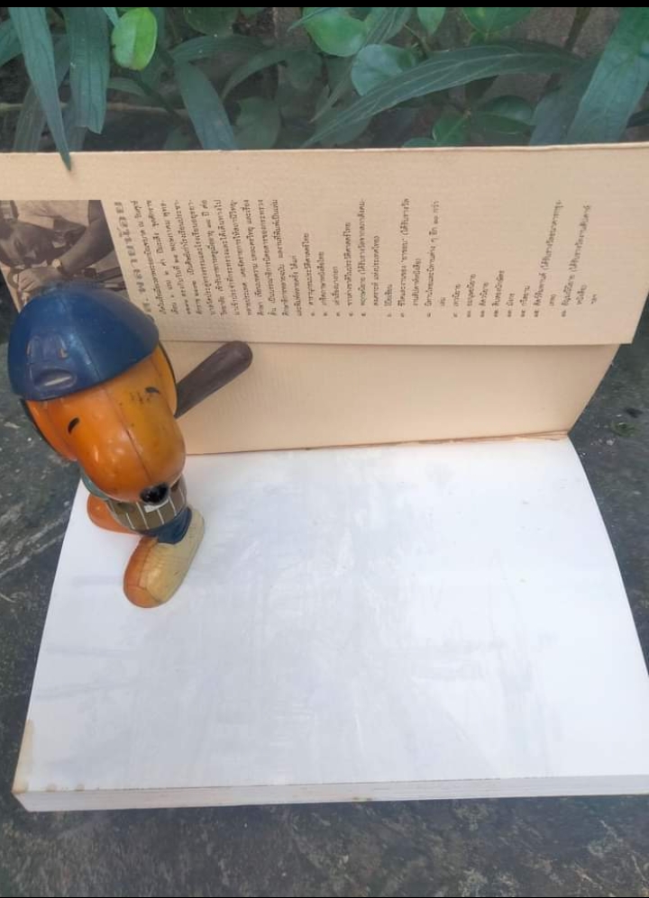 เกิดในเรือ บันทึกความทรงจำของ ส.พลายน้อย เรื่องเล่าเรื่องจริงเหนือแม่น้ำของชีวิตคนเรือ