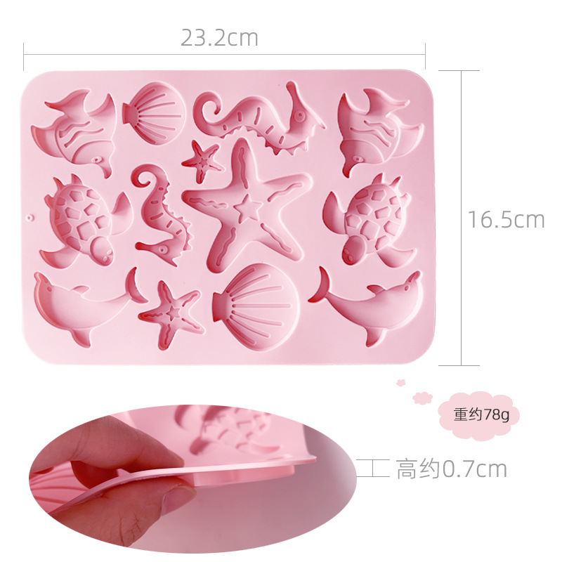 พิพม์รวมสัตว์ทะเล เต๋า ดาว ปลา หอย