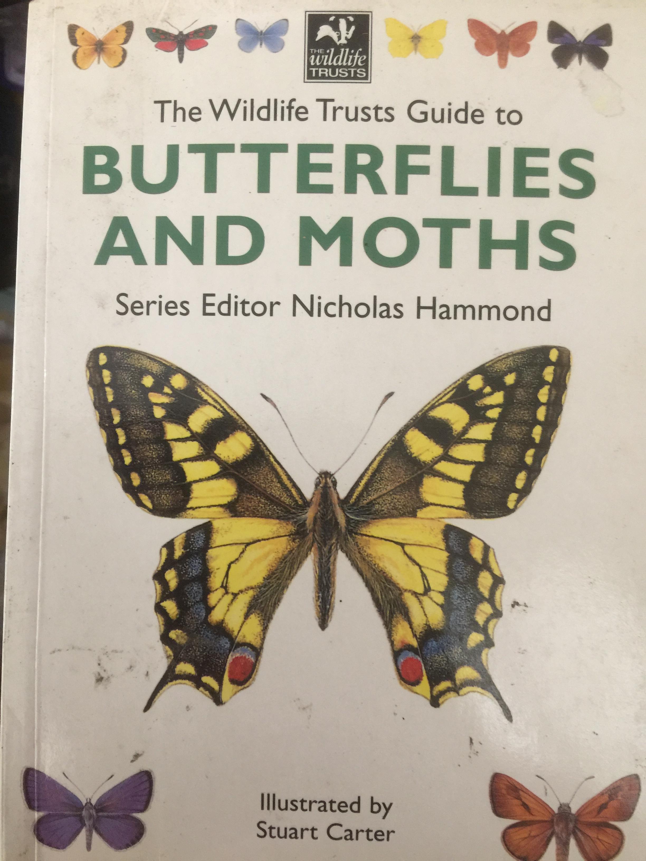 BUTTERFLIES and MOTHS. The Wildlife Trusts Guide Series Editor Nicholas Hammond 0 กก.